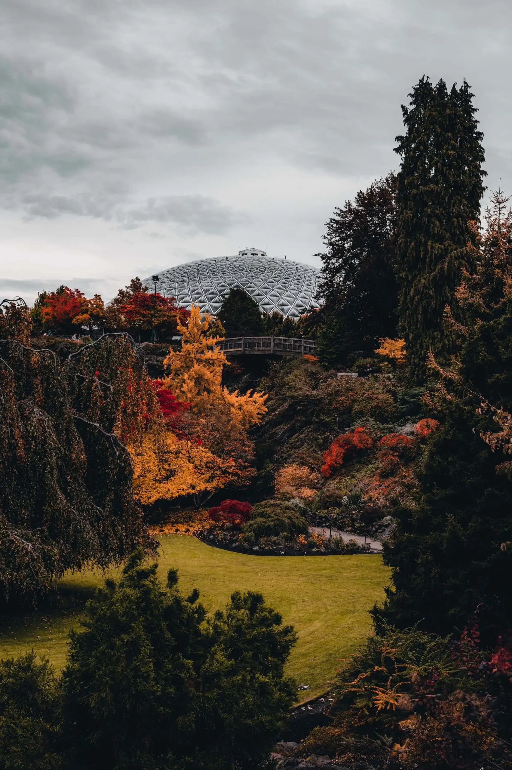 View from Bloedel Conservatory in autumn