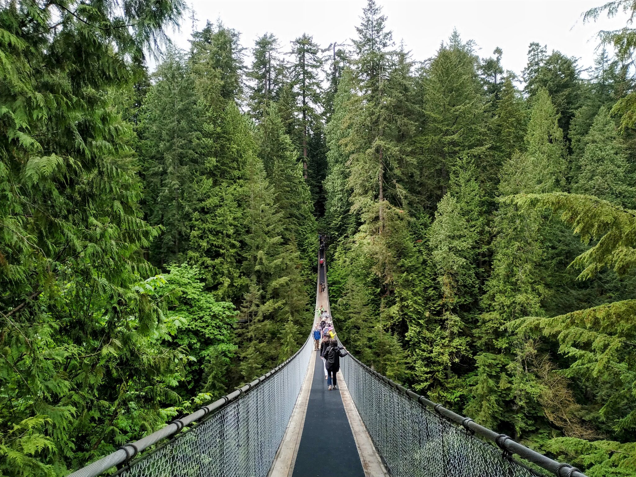 Capilano Suspension Bridge Explore Vancouver