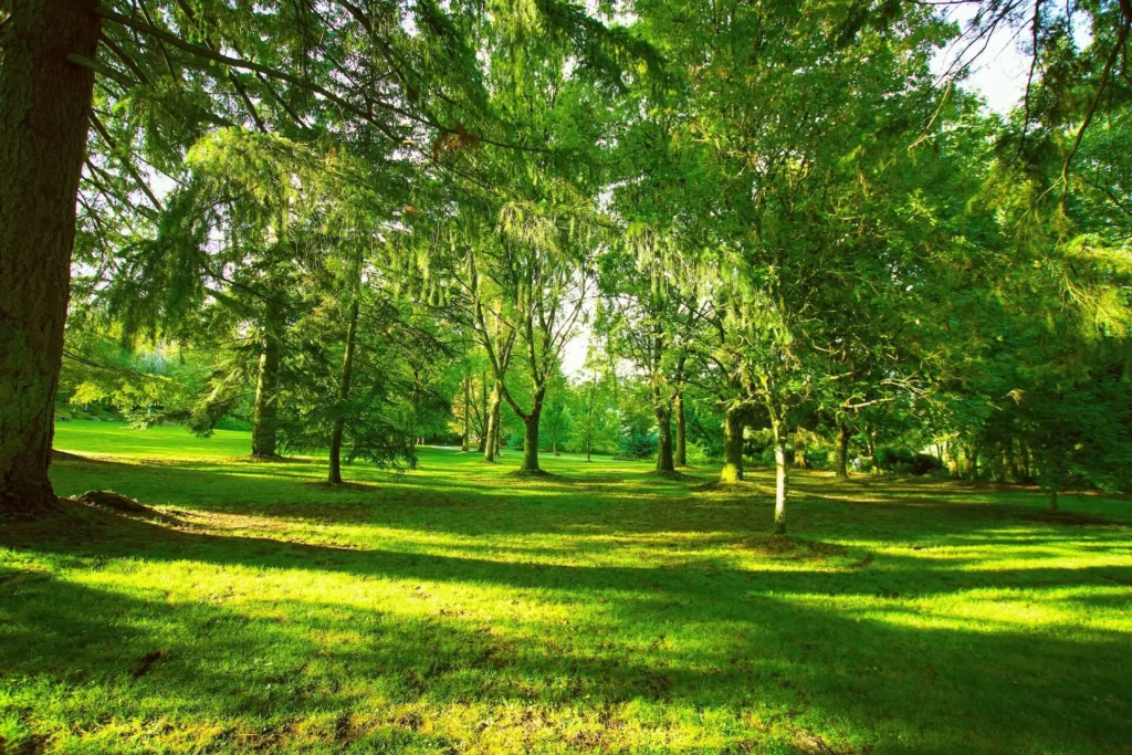 A green landscape of Vandusen Botanical Garden Vancouver