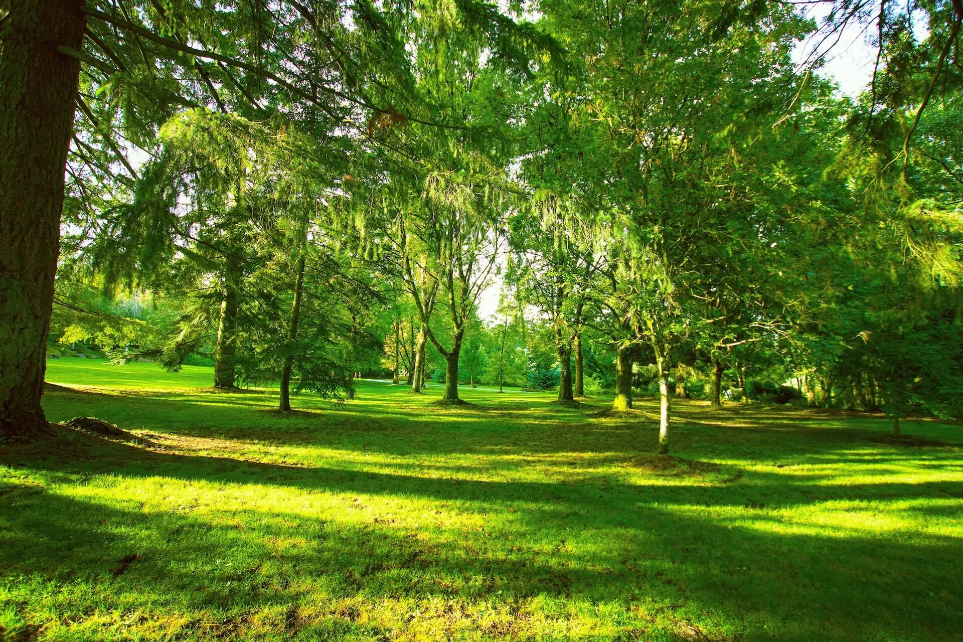 VanDusen Botanical Garden in Vancouver, showing lush pathways and mature trees