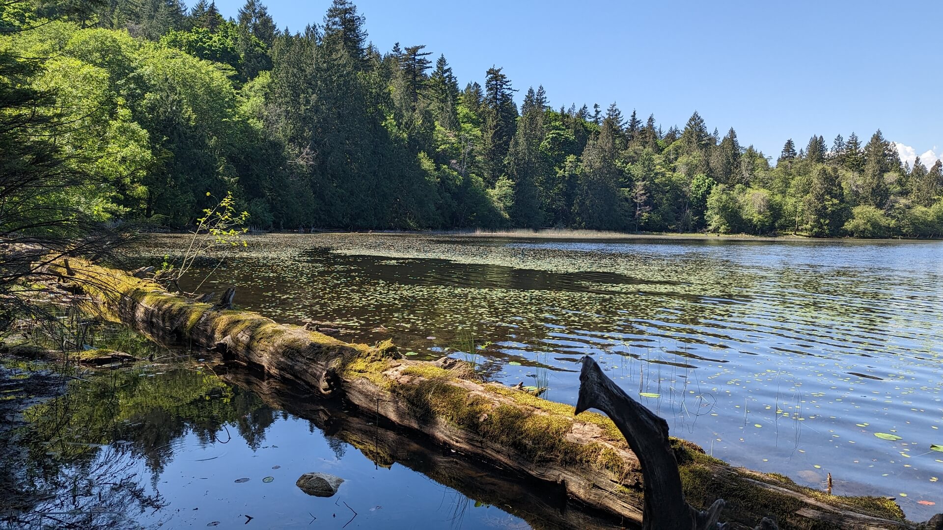 Killarney Lake on Bowen Island