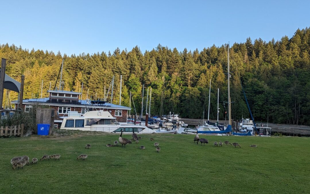 10 Best Things to Do on Bowen Island | Day Trip from Vancouver