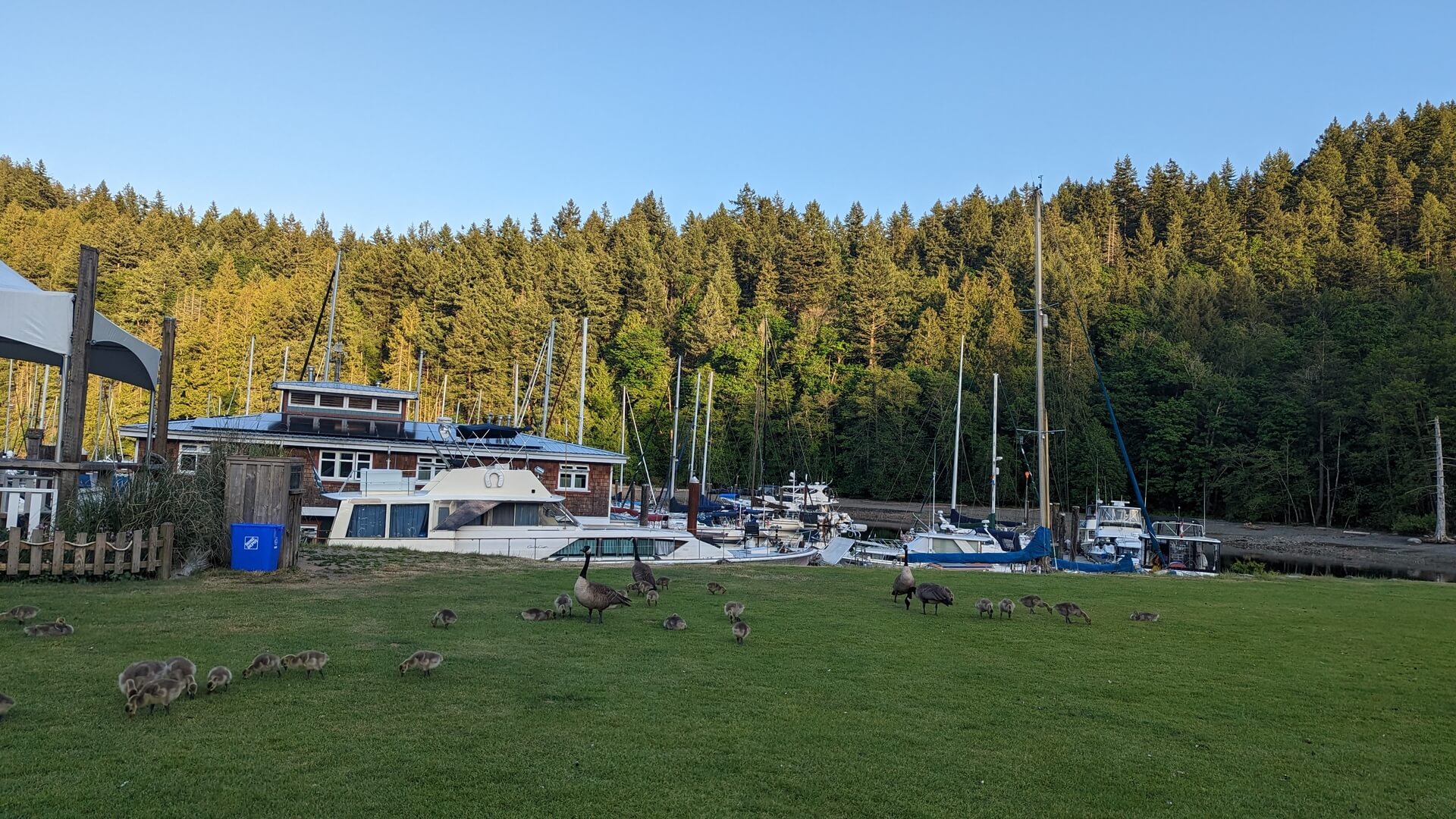 Snug Cove village and harbour on Bowen Island