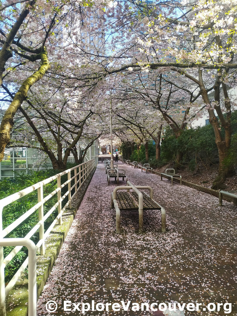 Burrard Station area in Vancouver in spring