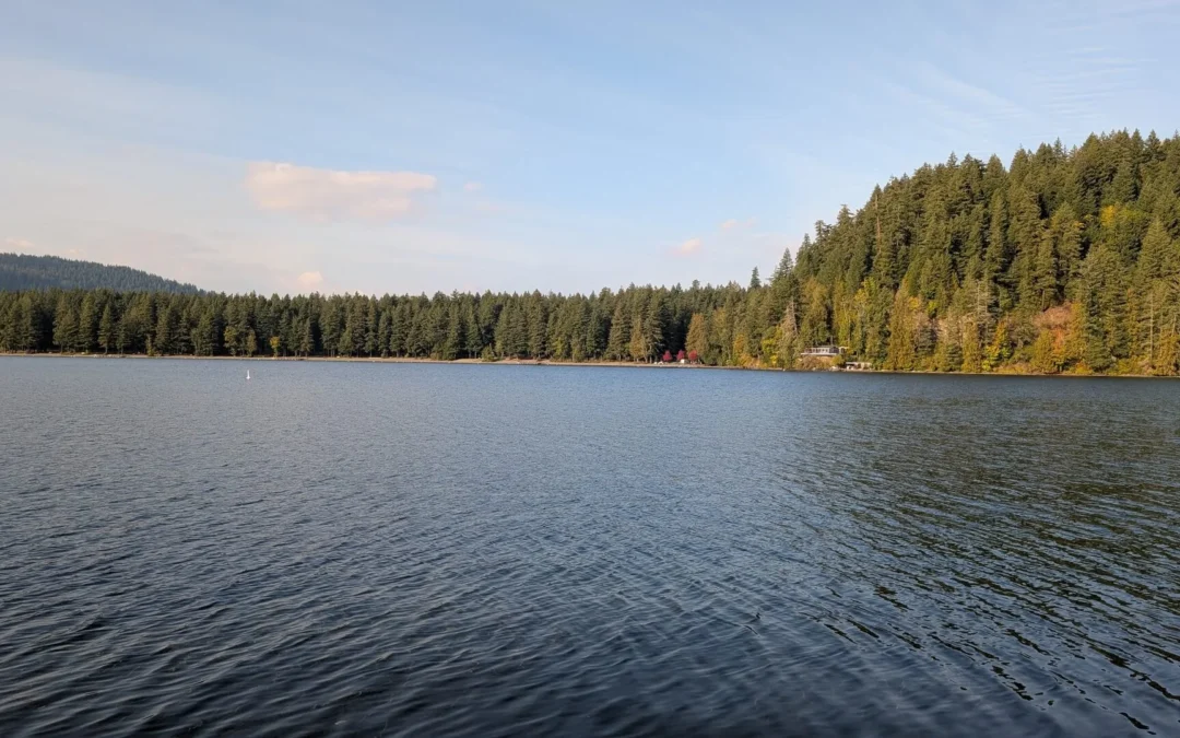 BC Provincial Parks Near Vancouver You Can Visit Without a Car