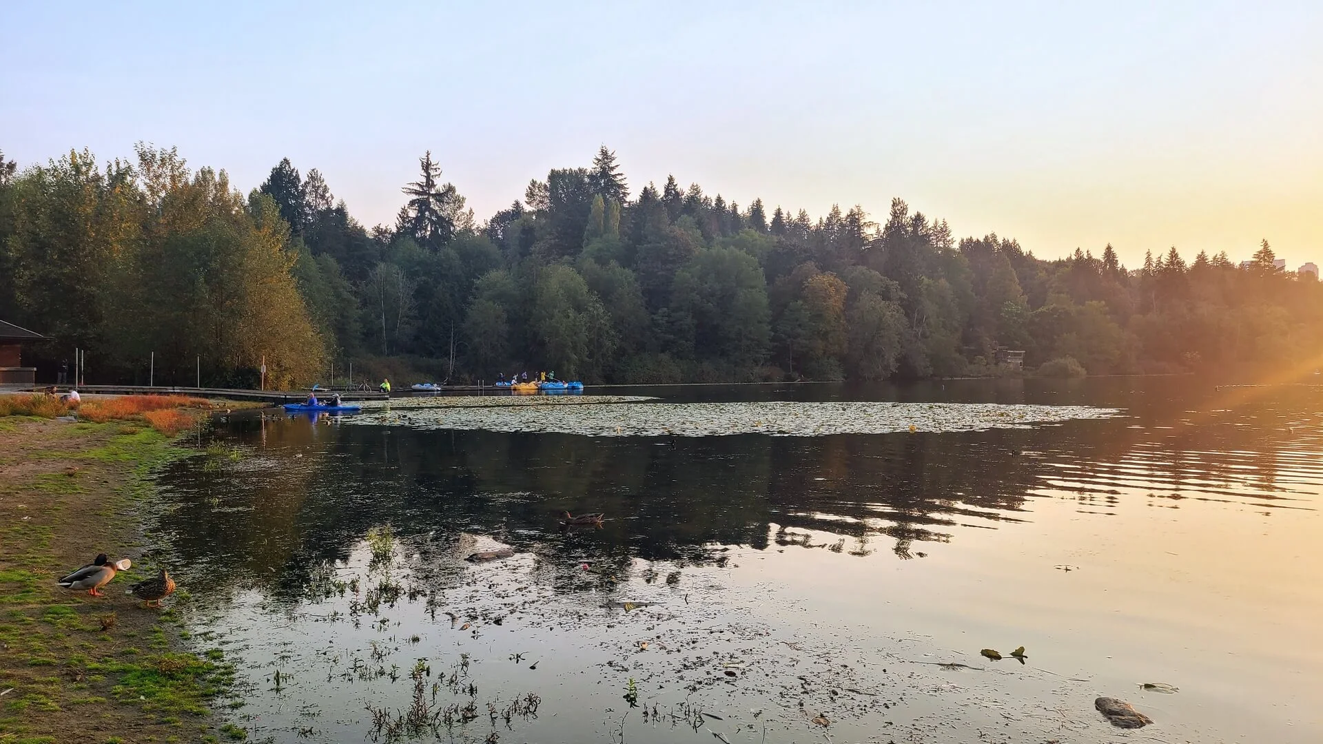 Beach and kayaks at Deer Lake Park in Burnaby