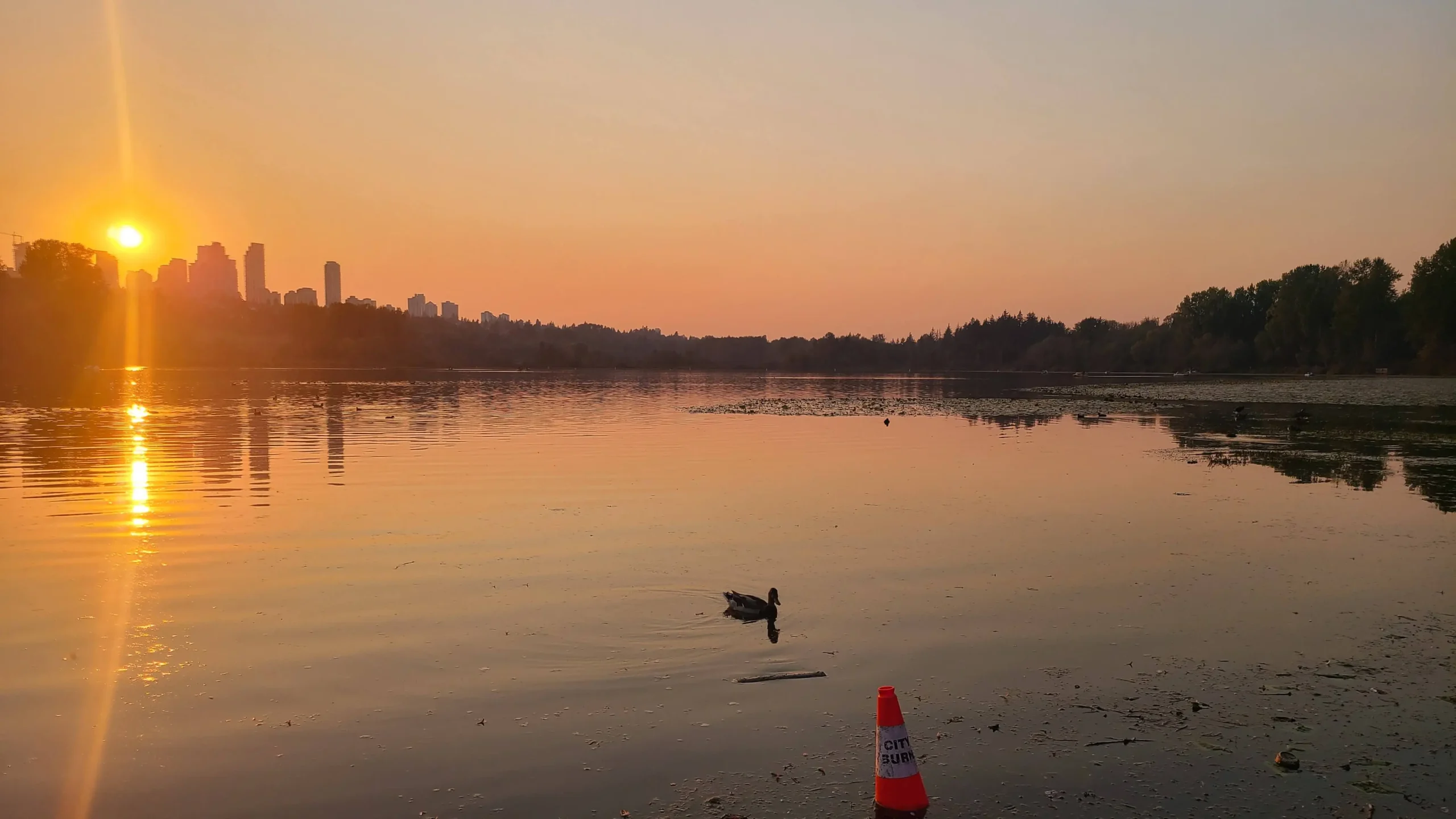 Sunset over the water at Deer Lake Park