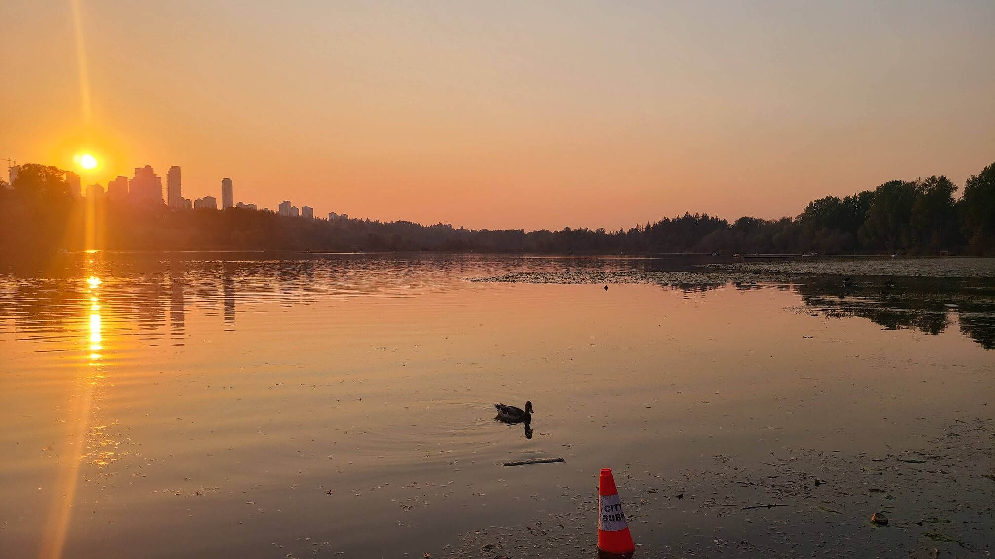 Sunset view at Deer Lake Park in Burnaby