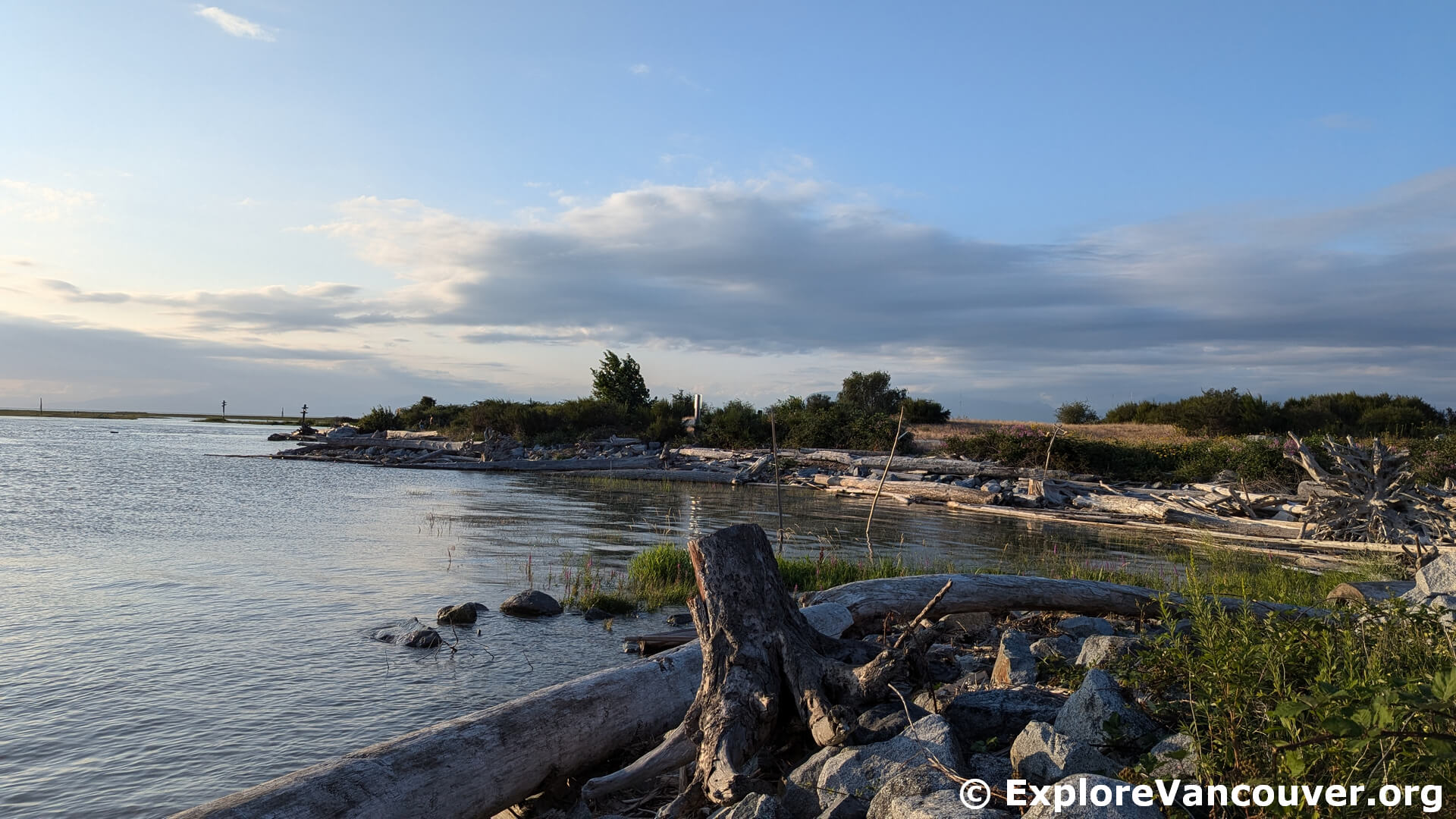 Driftwood and open lawn at Garry Point Park in Richmond