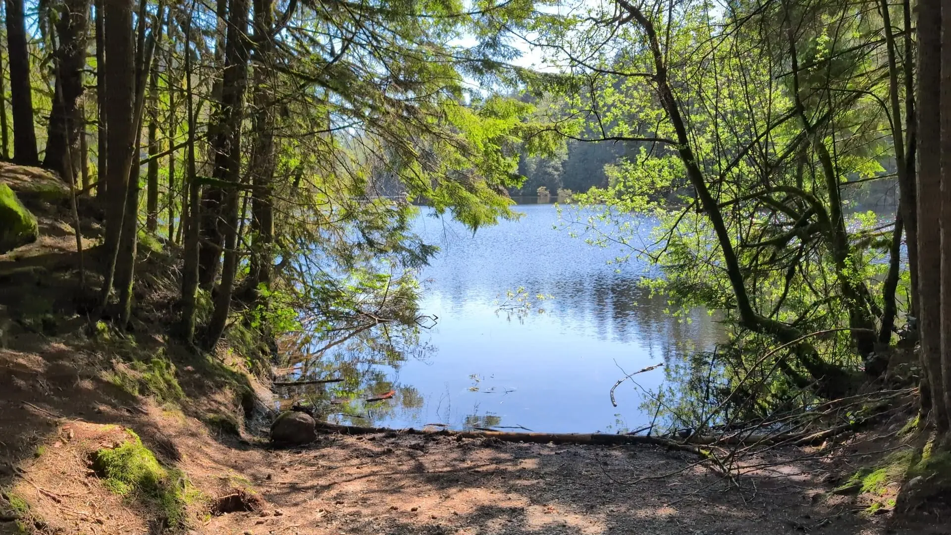 Rice Lake in North Vancouver surrounded by forest