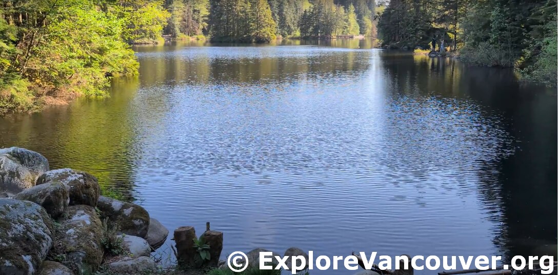 Water view at Rice Lake in North Vancouver