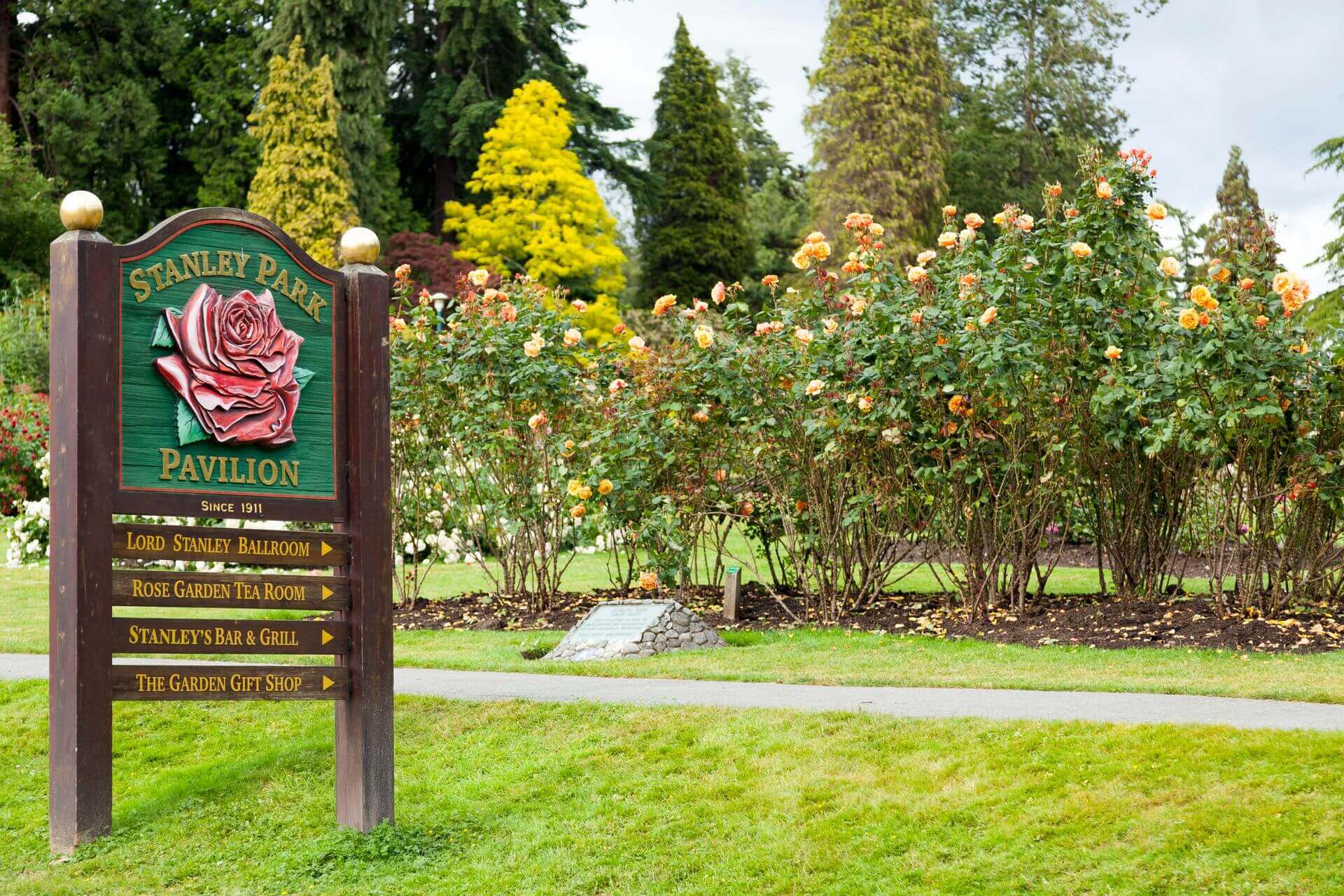 Colourful roses in Stanley Park Rose Garden