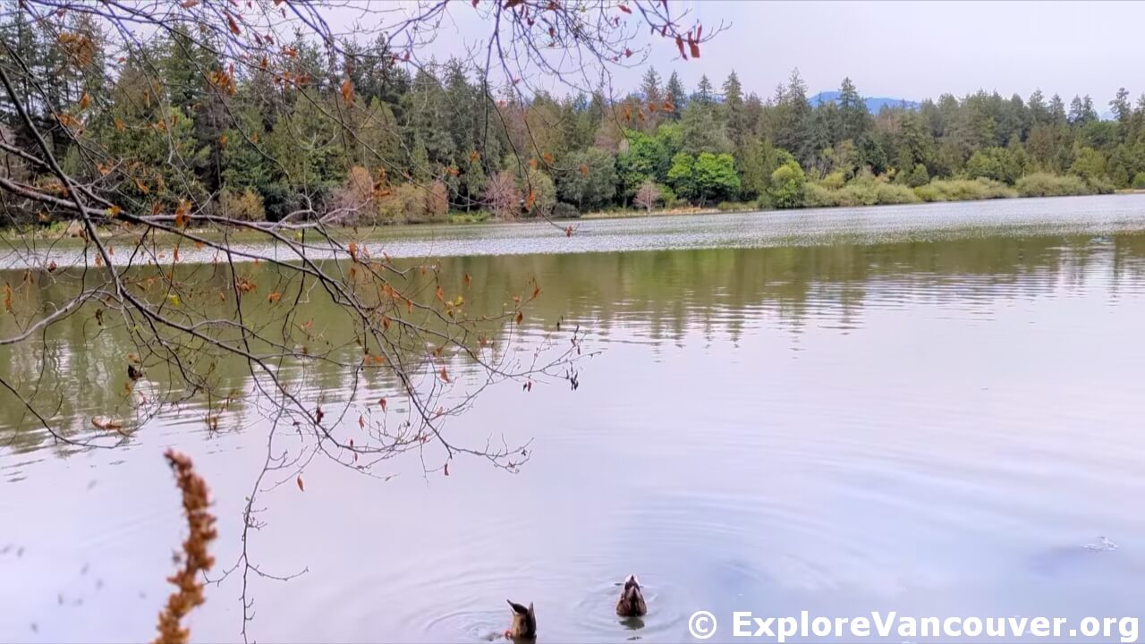 Lost Lagoon in Stanley Park, Vancouver