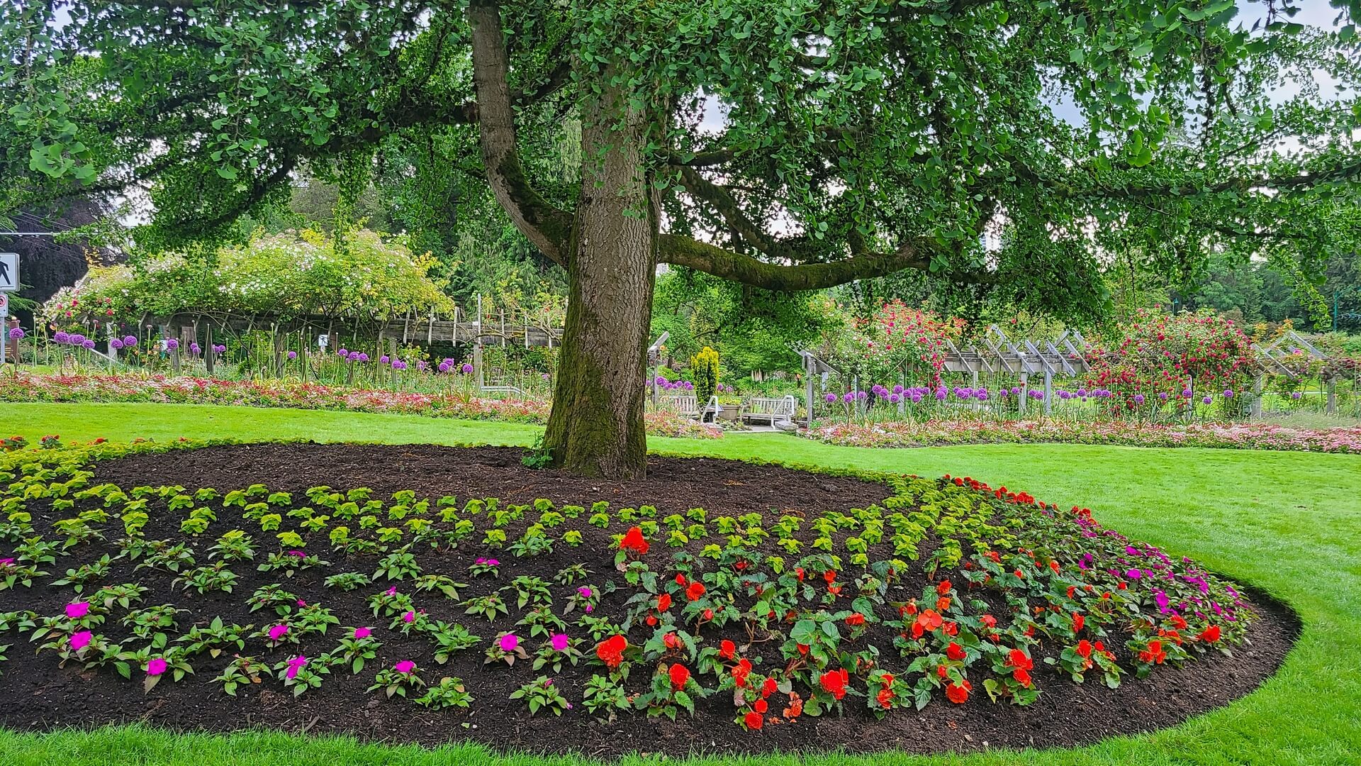 Rose Garden in Stanley Park Vancouver