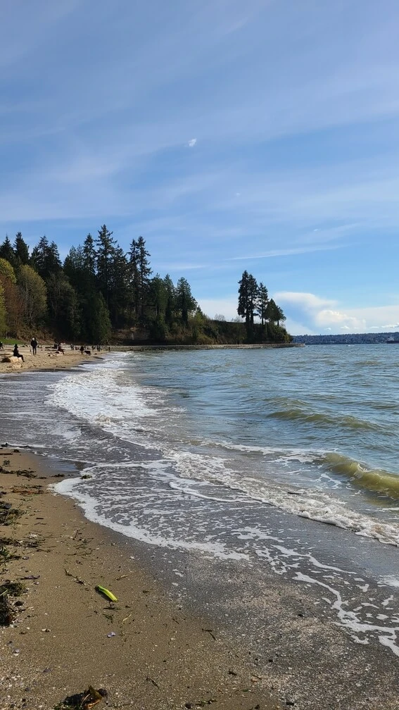 Vertical view of Third Beach shoreline at Stanley Park showing the tree line and sandy shore with calm ocean water