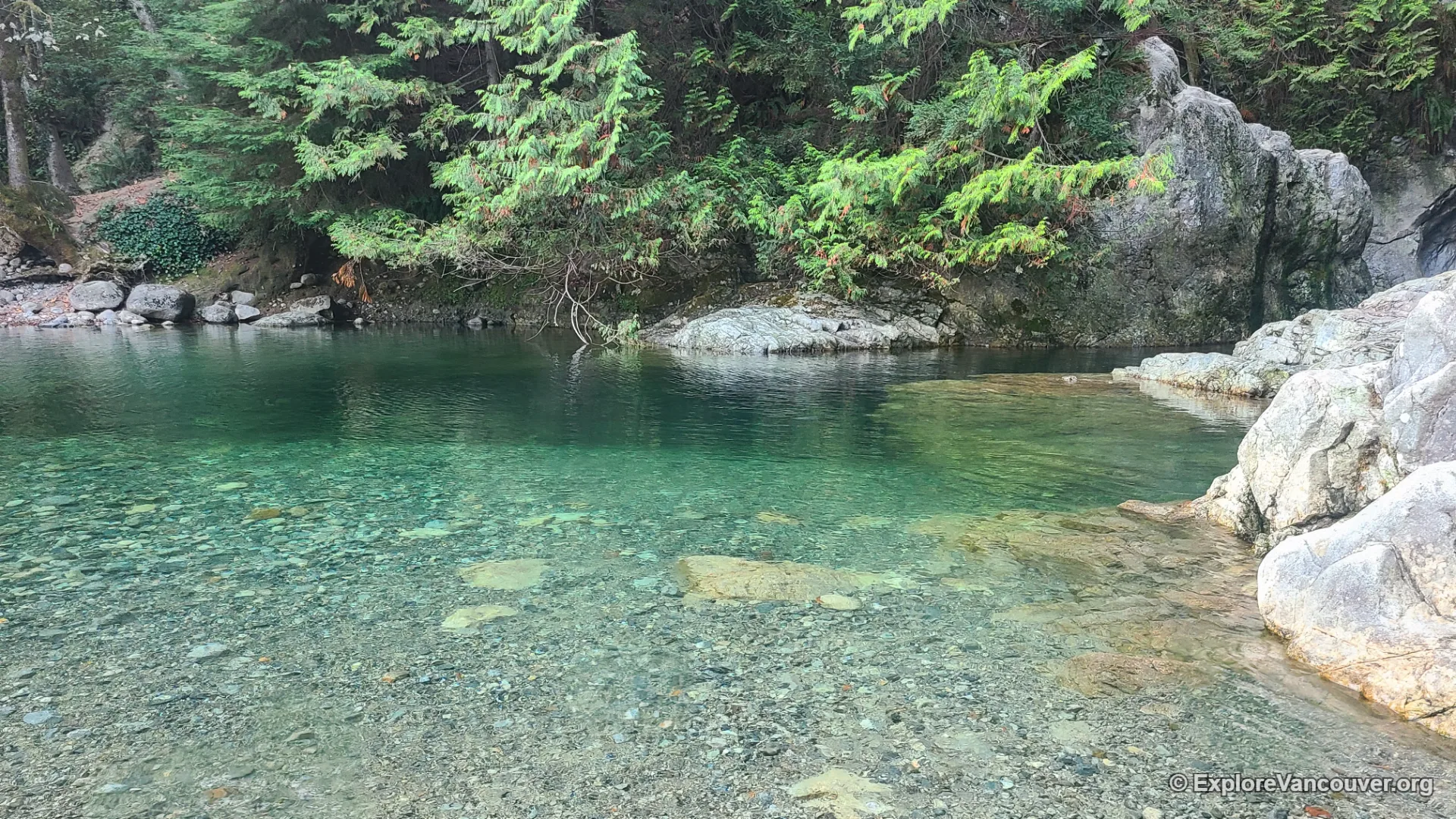 Thirty Foot Pool swimming hole at Lynn Canyon