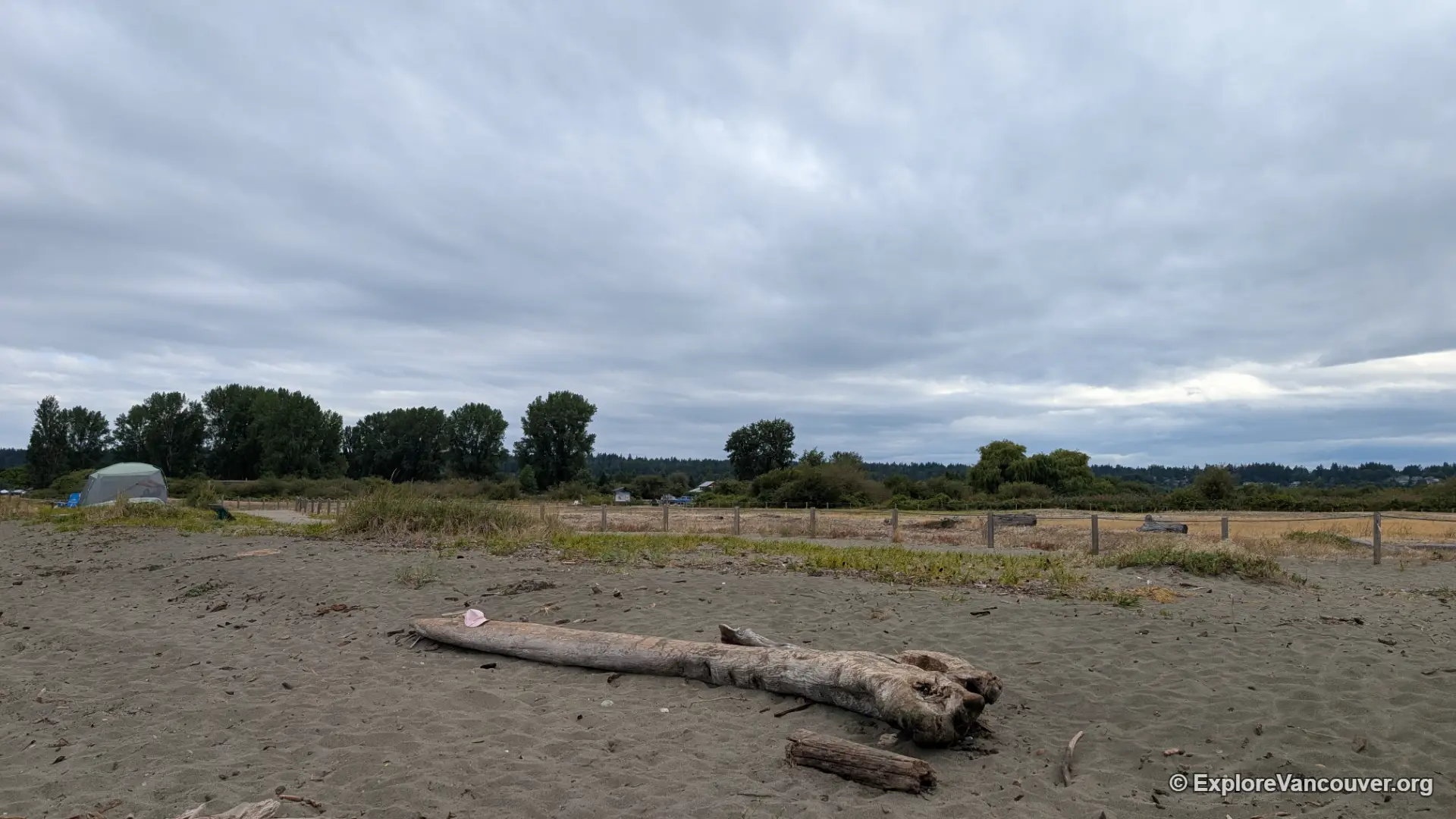 Dyke trail path at Boundary Bay Regional Park