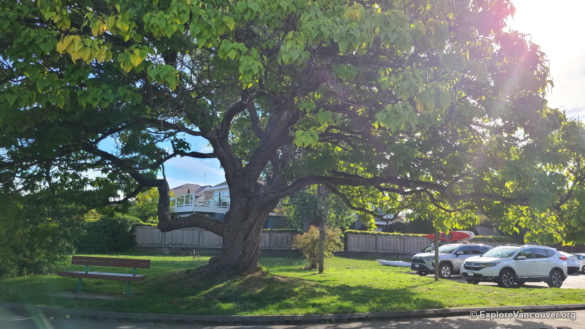 Parking lot area at Boundary Bay Regional Park