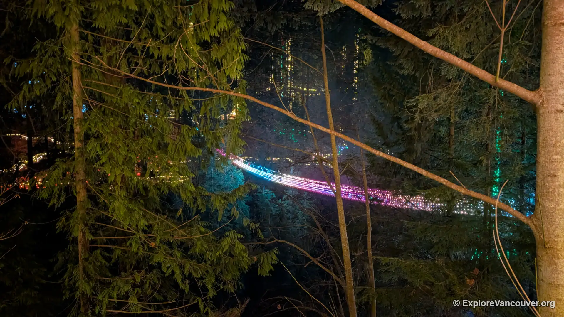 Canyon Lights at Capilano Suspension Bridge in North Vancouver