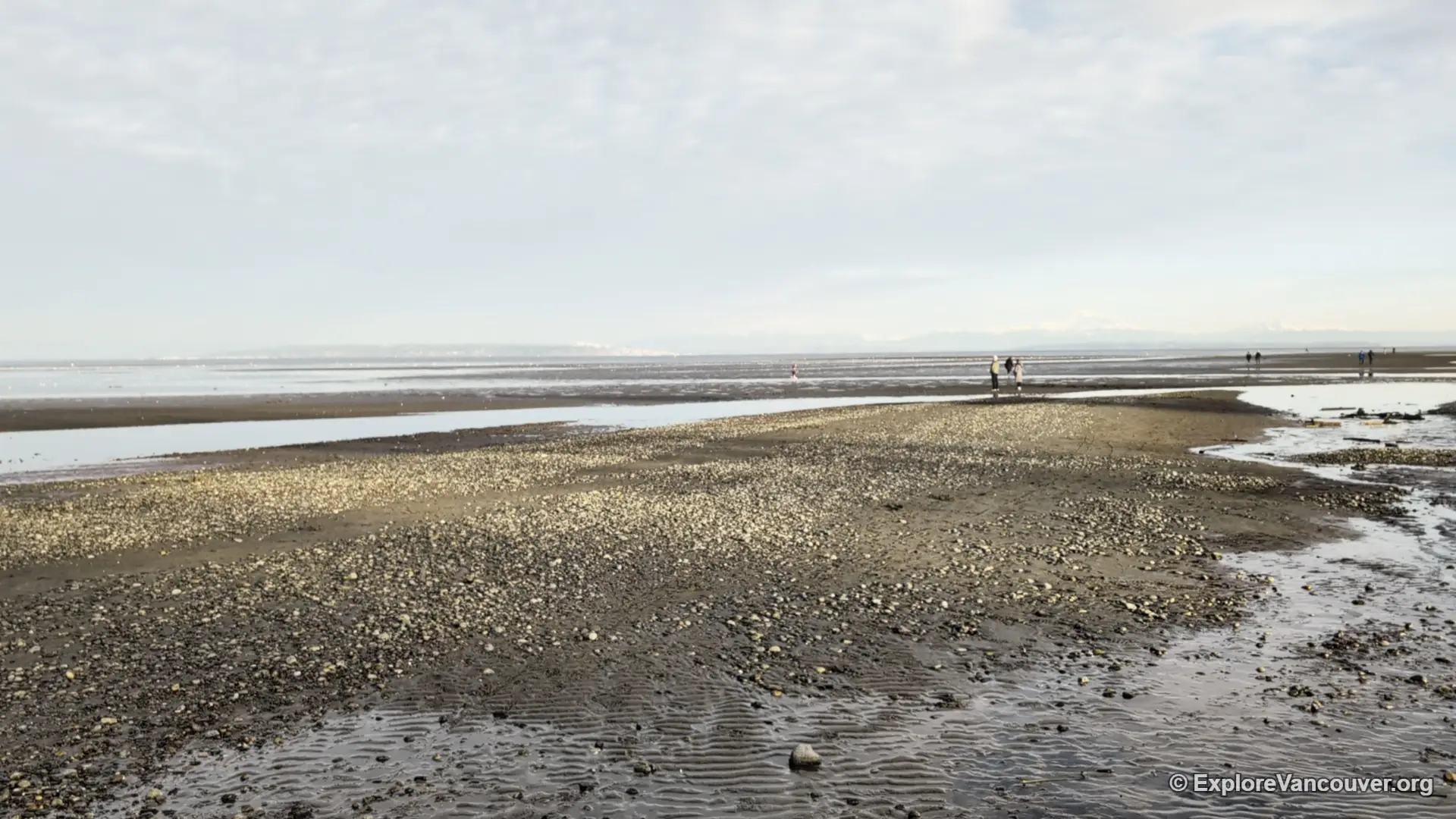 Low tide at Centennial Beach in winter