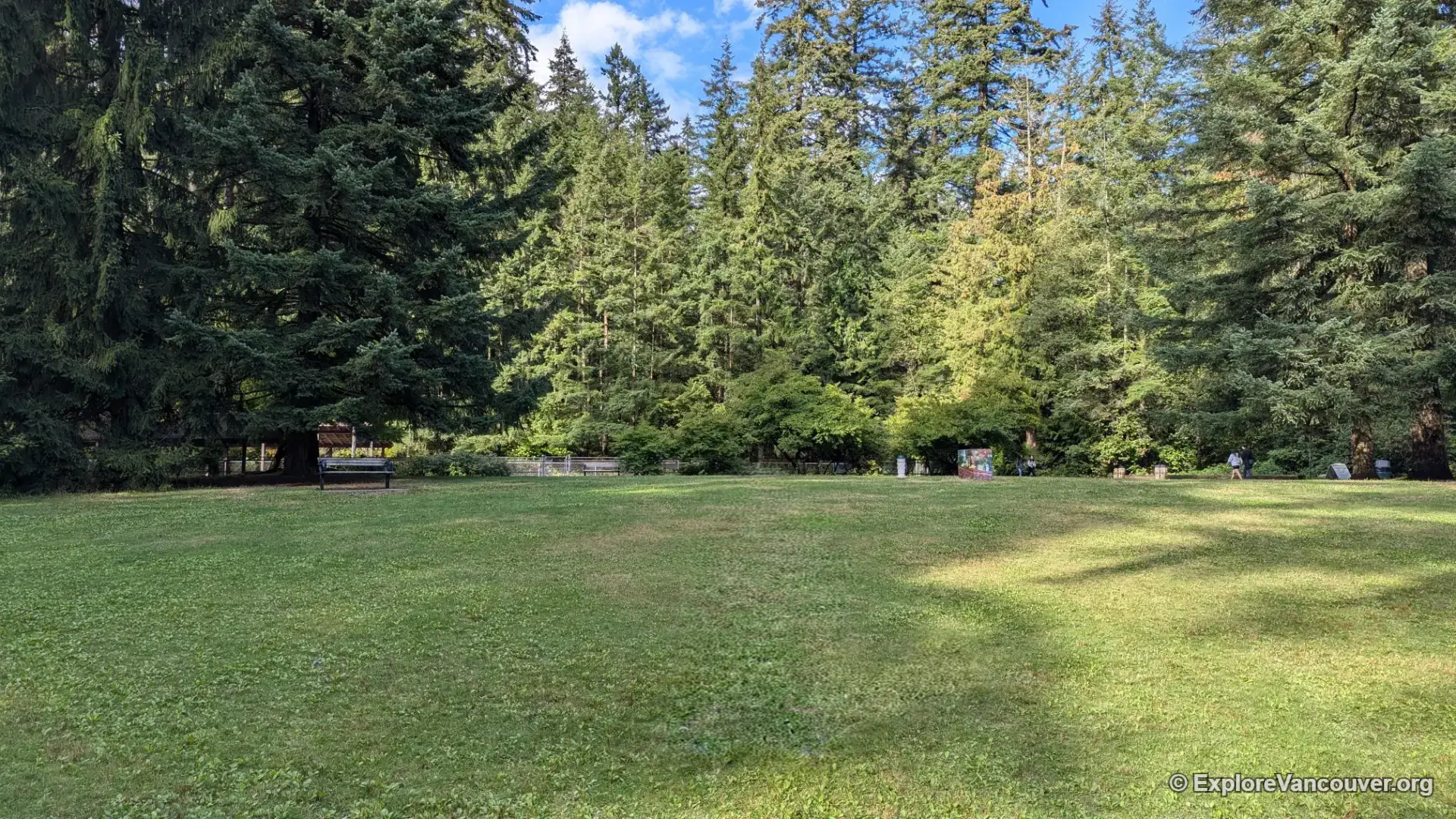 Open grassy field bordered by trees inside Central Park, Burnaby