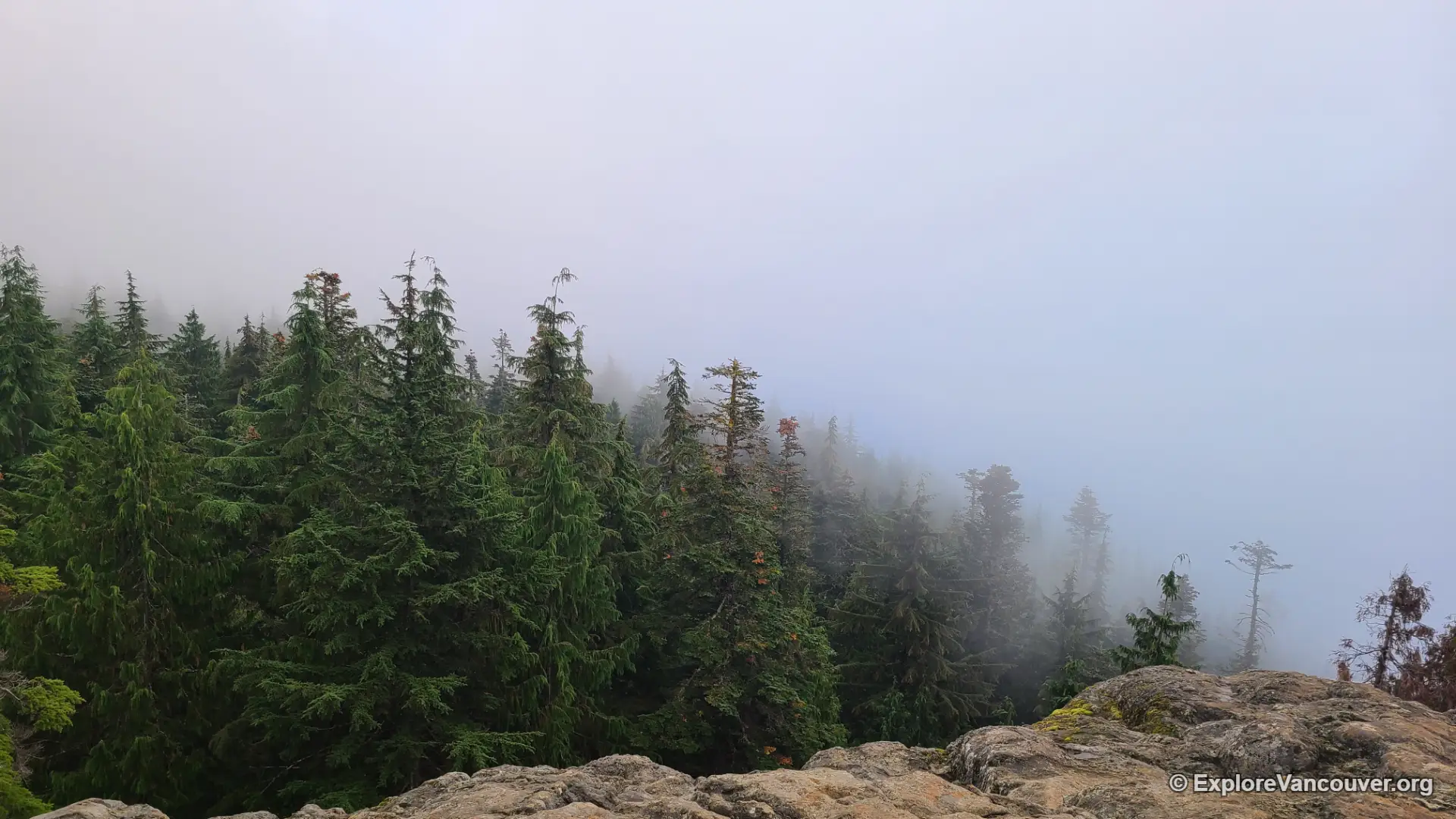 Hikers standing at the Dog Mountain summit viewpoint