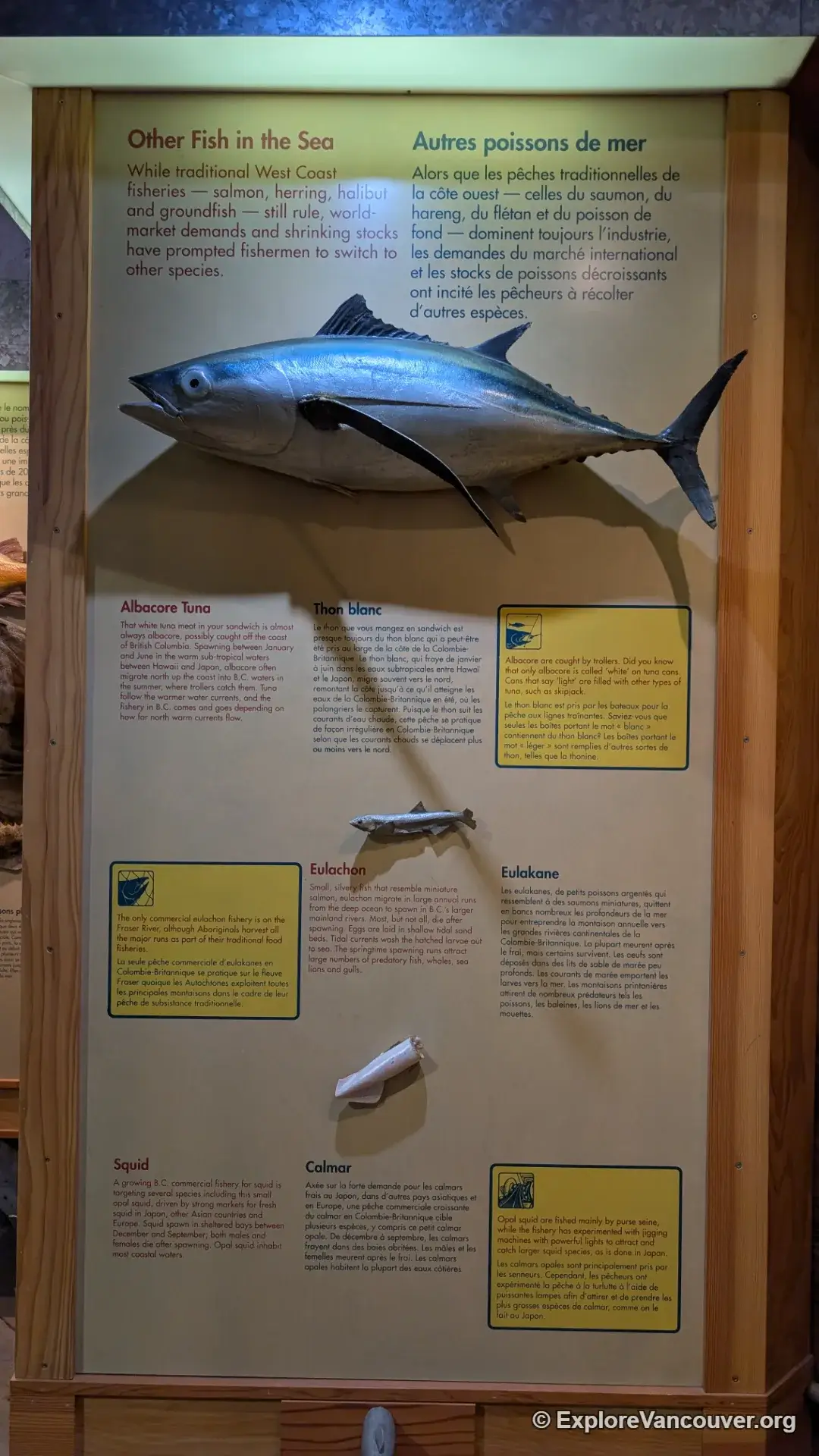 Exhibit inside the Gulf of Georgia Cannery National Historic Site