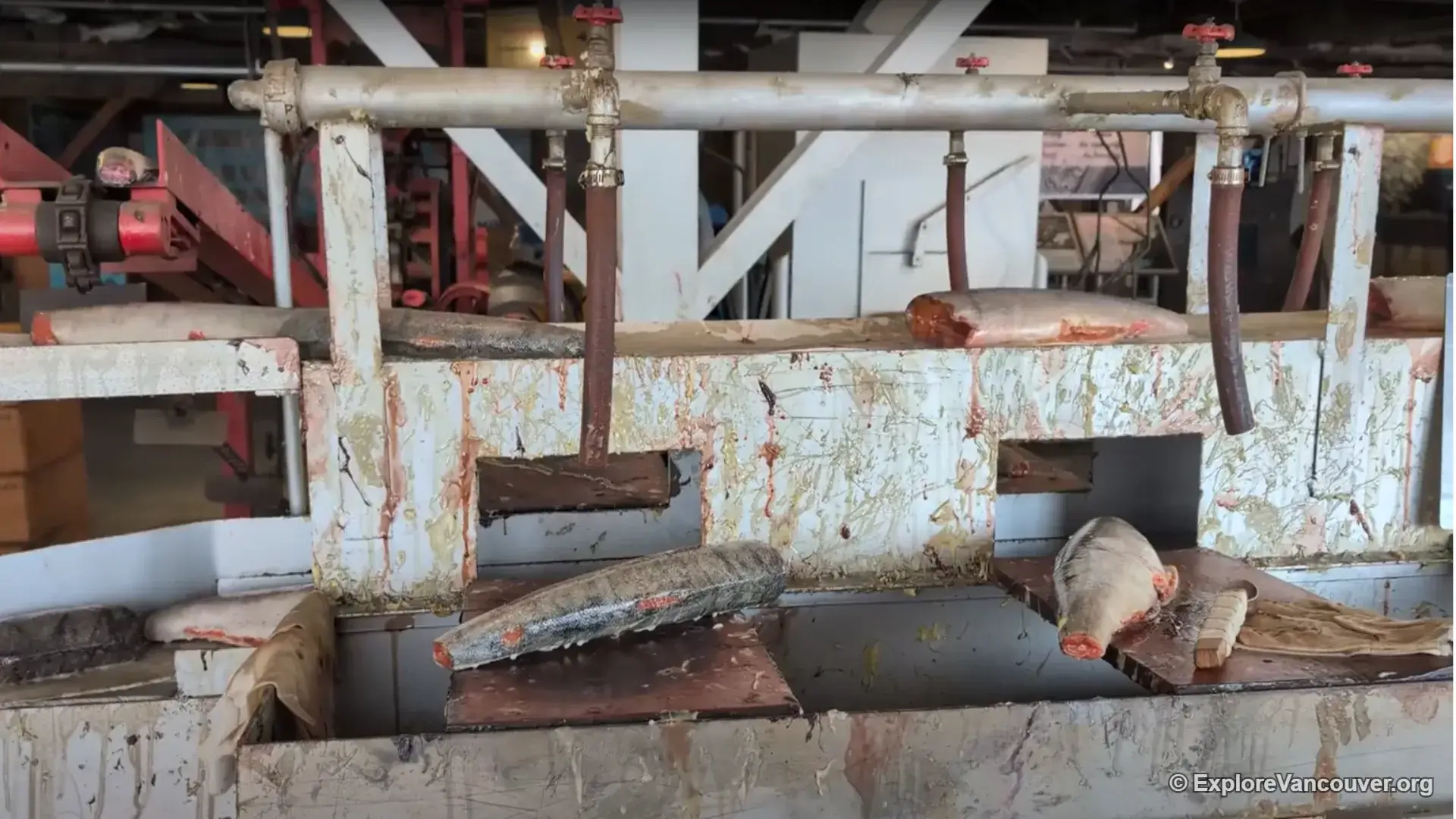 Historic fish cutting area inside the Gulf of Georgia Cannery
