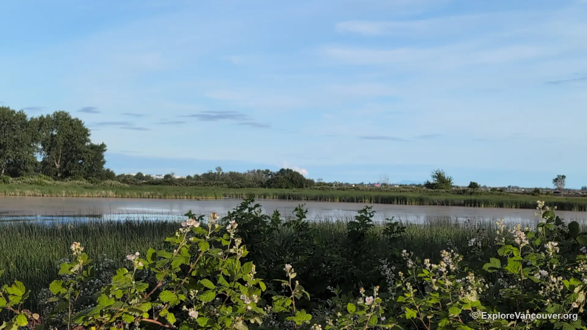Calm water area at Iona Beach Regional Park
