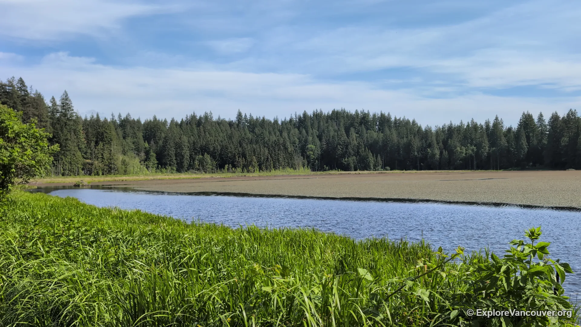 Marsh boardwalk at Minnekhada Regional Park