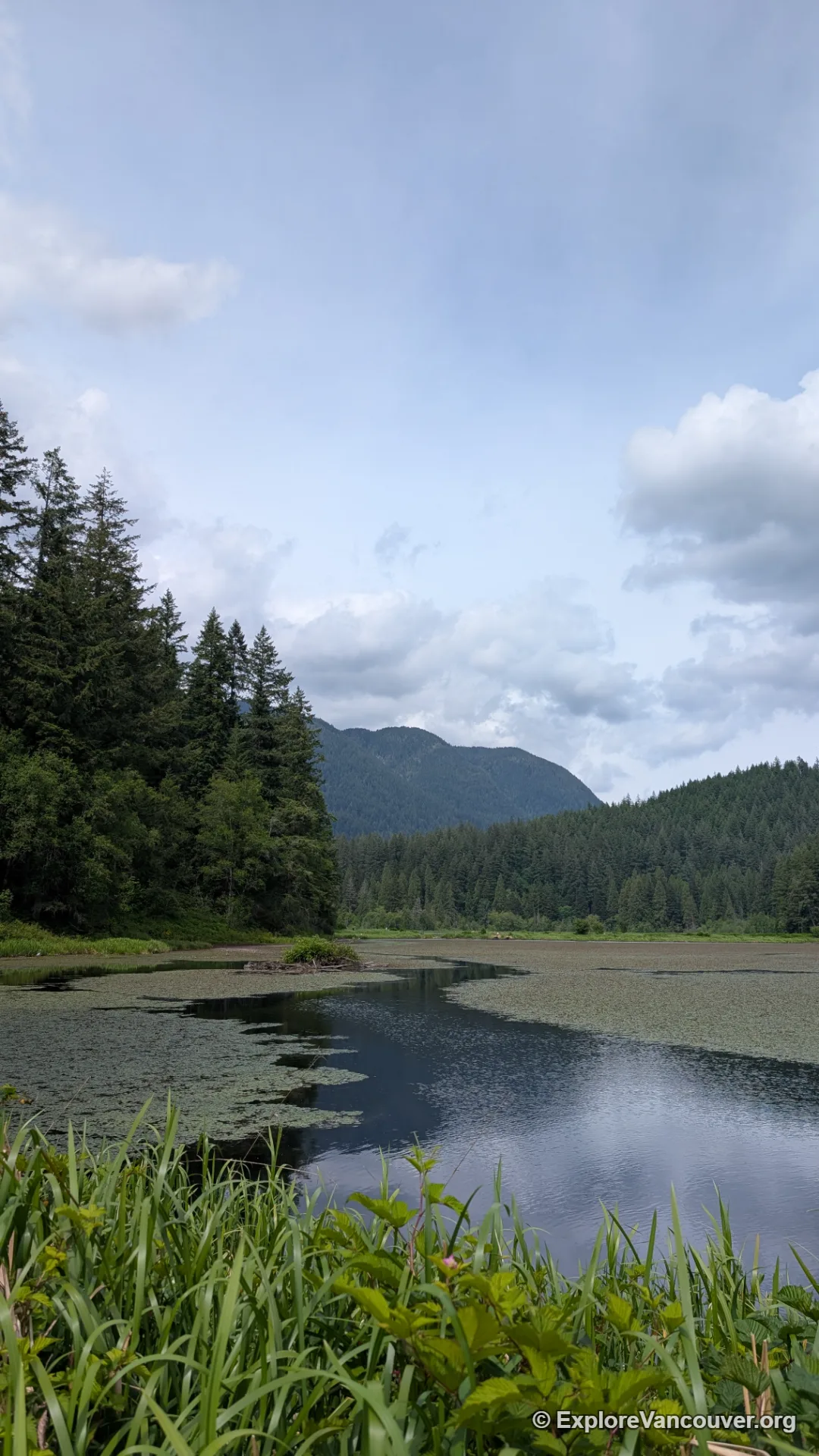 Still water channel at Minnekhada Regional Park