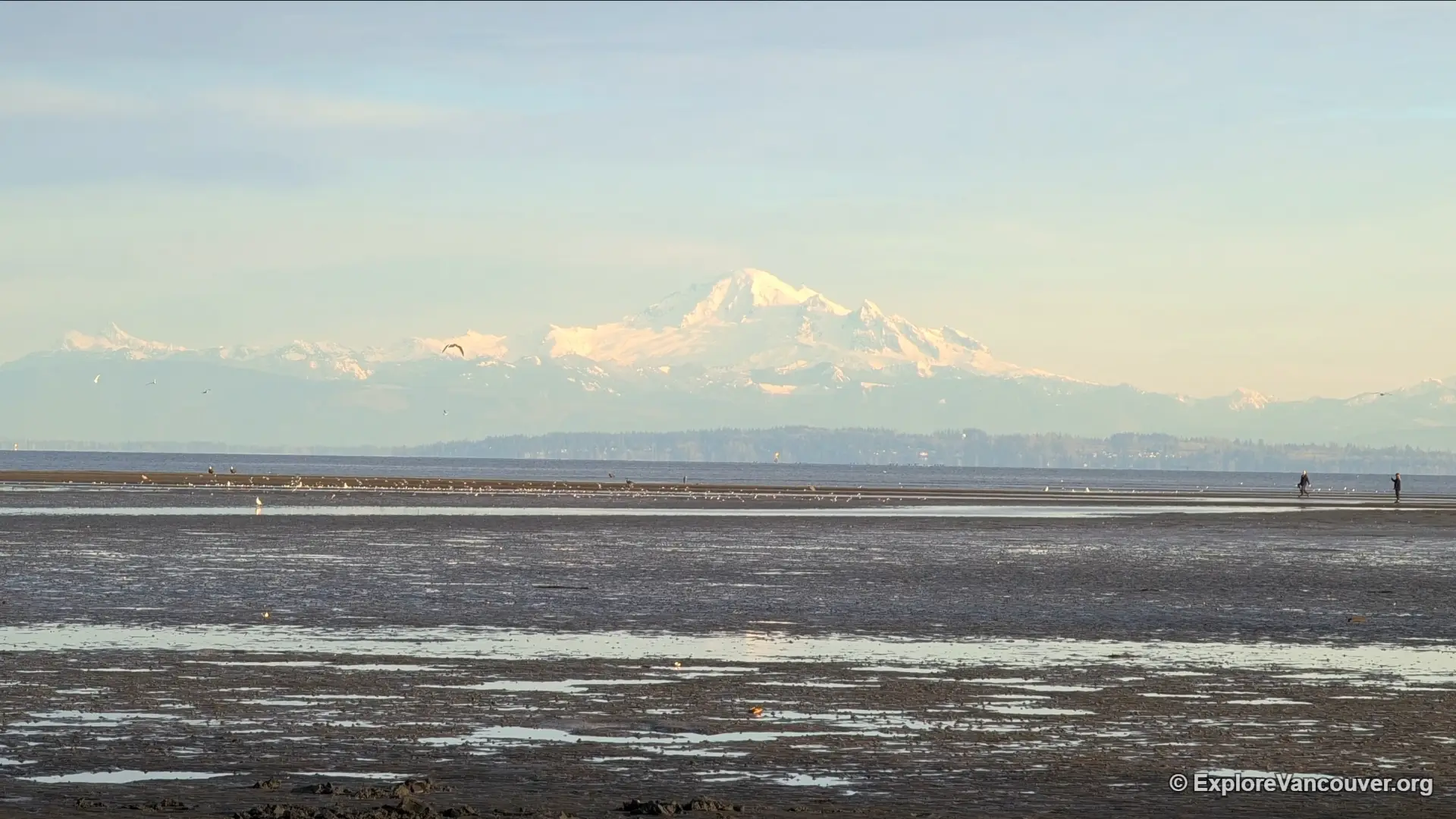 View of Mount Baker from Centennial Beach in Delta