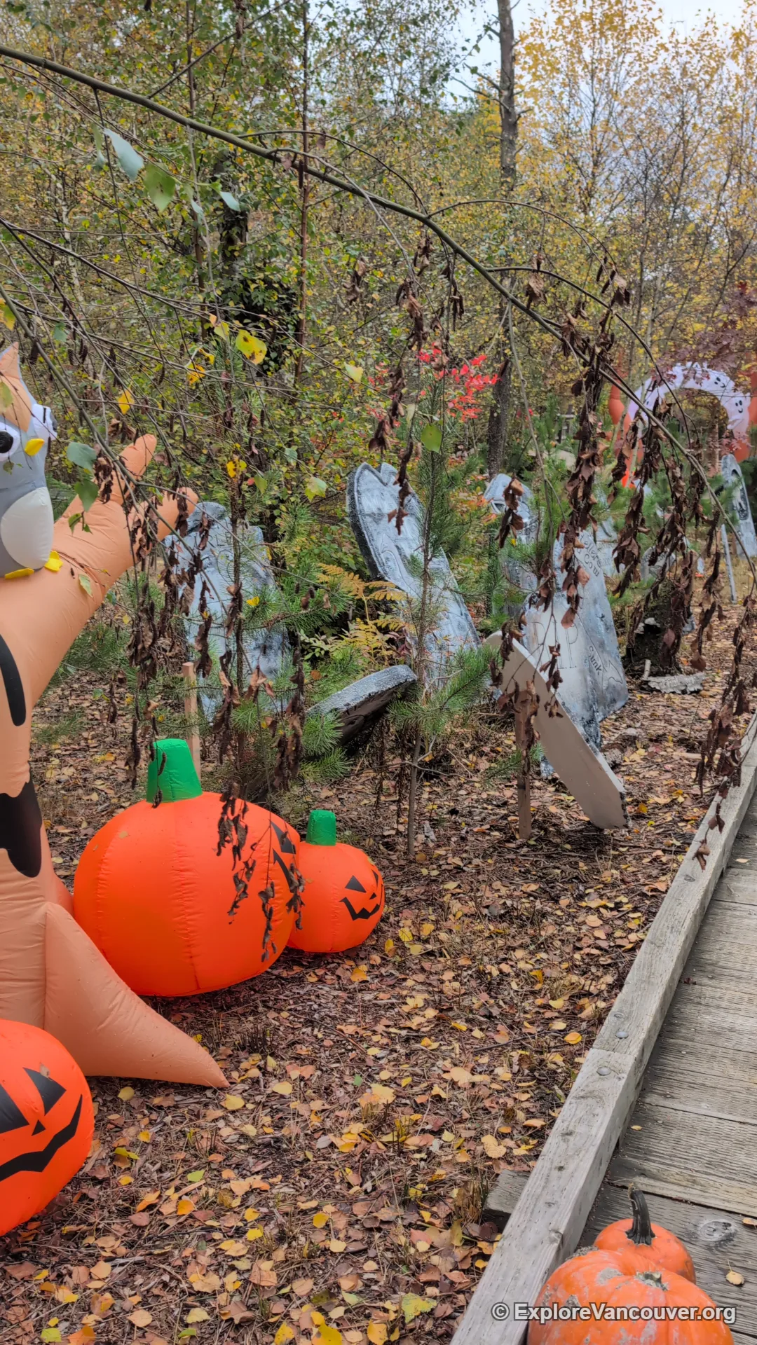 Pumpkin display during a seasonal event at Richmond Nature Park