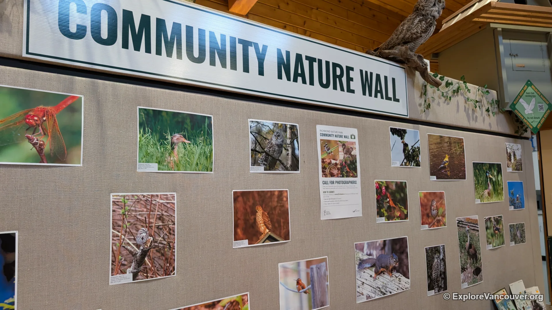 Interior displays inside the Richmond Nature House