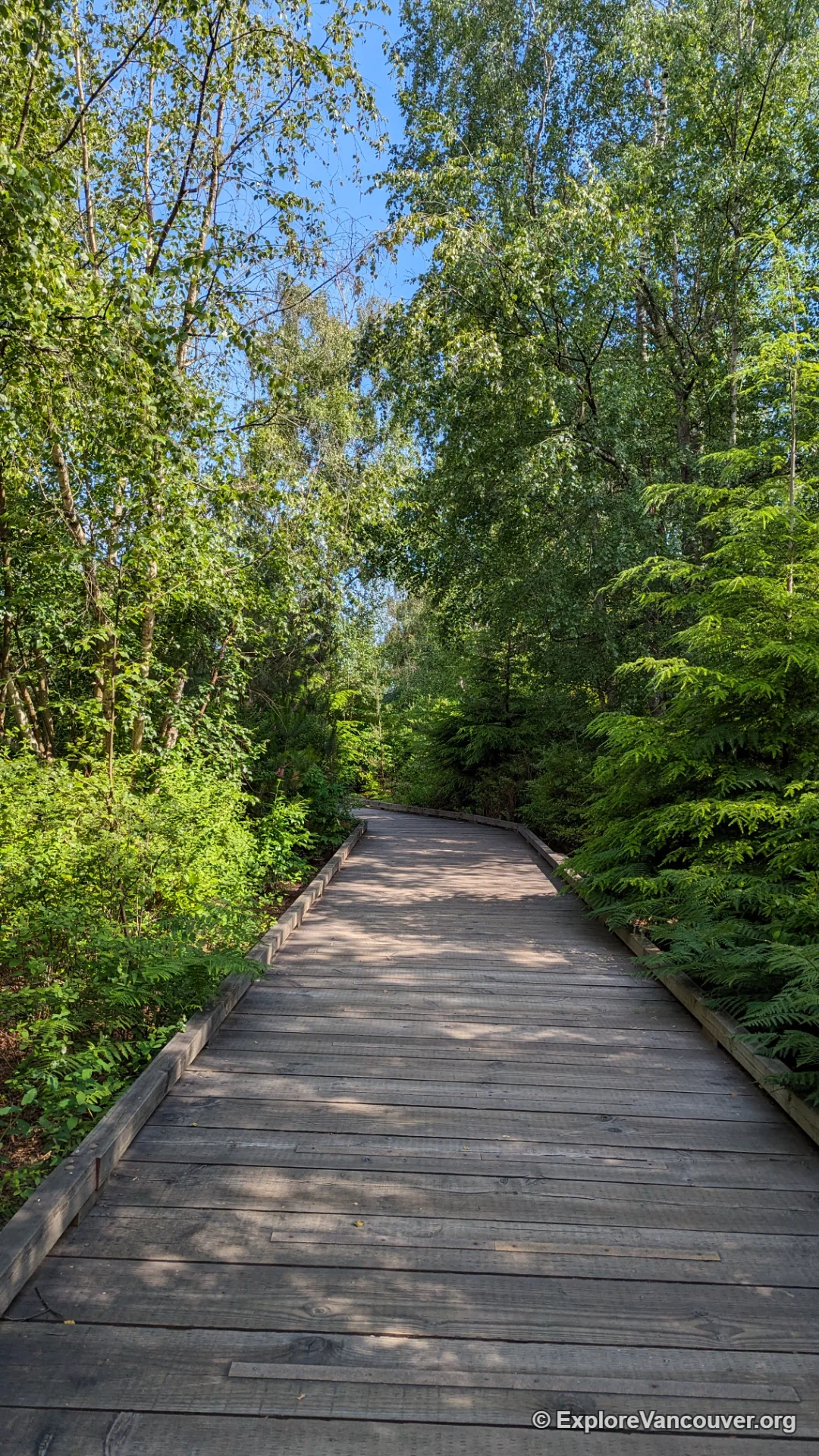Wheelchair-accessible boardwalk trail at Richmond Nature Park