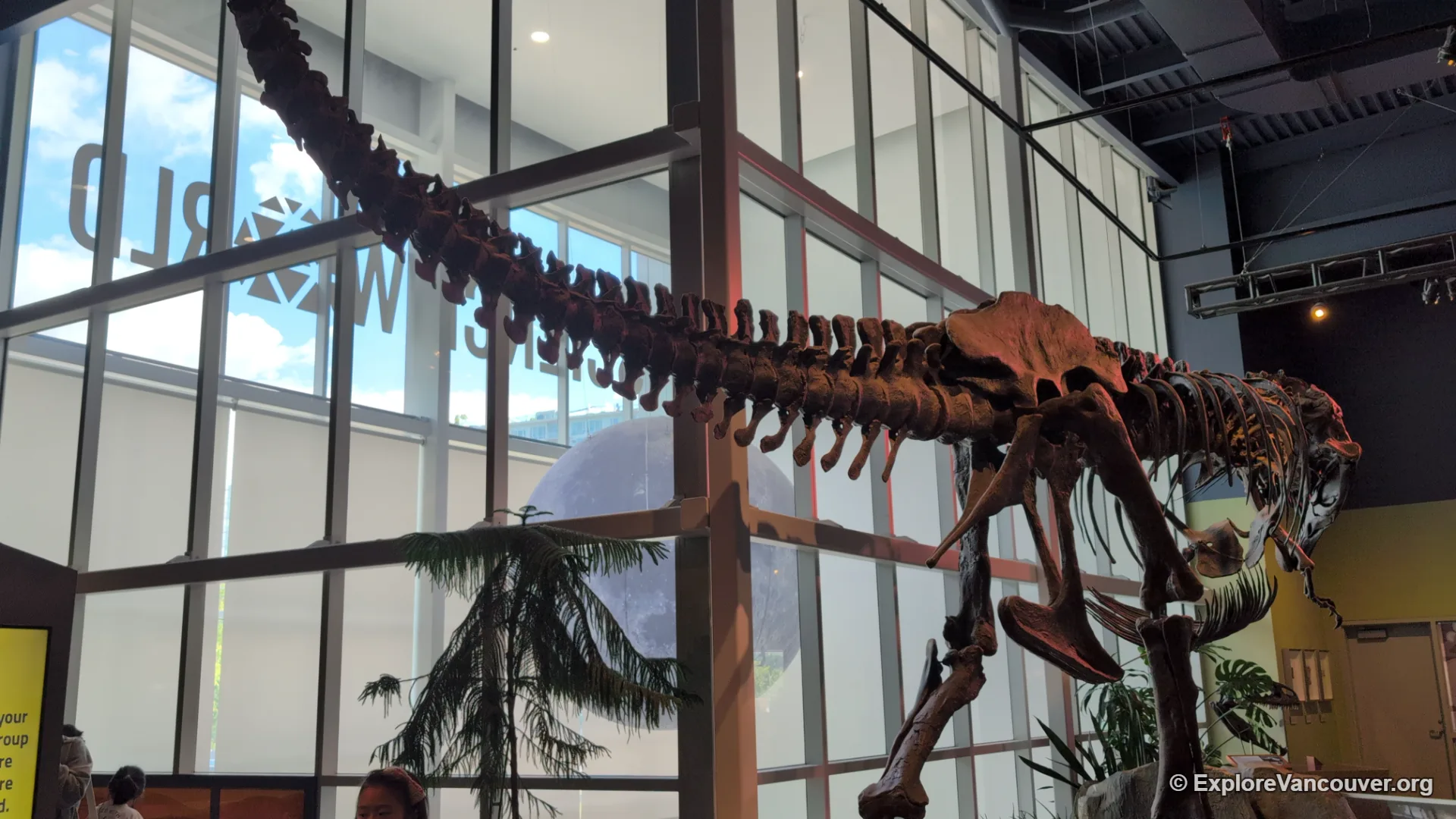Dinosaur skeleton display in the Search: Sara Stern Gallery