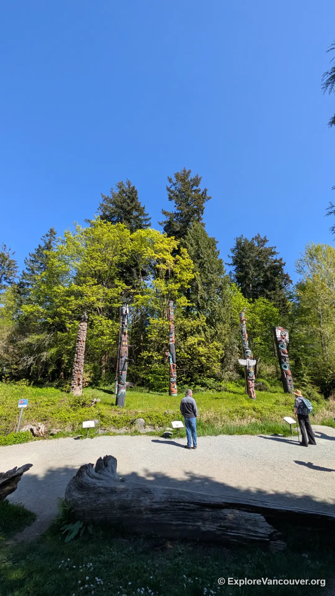 Historic view of the totem pole collection at Stanley Park