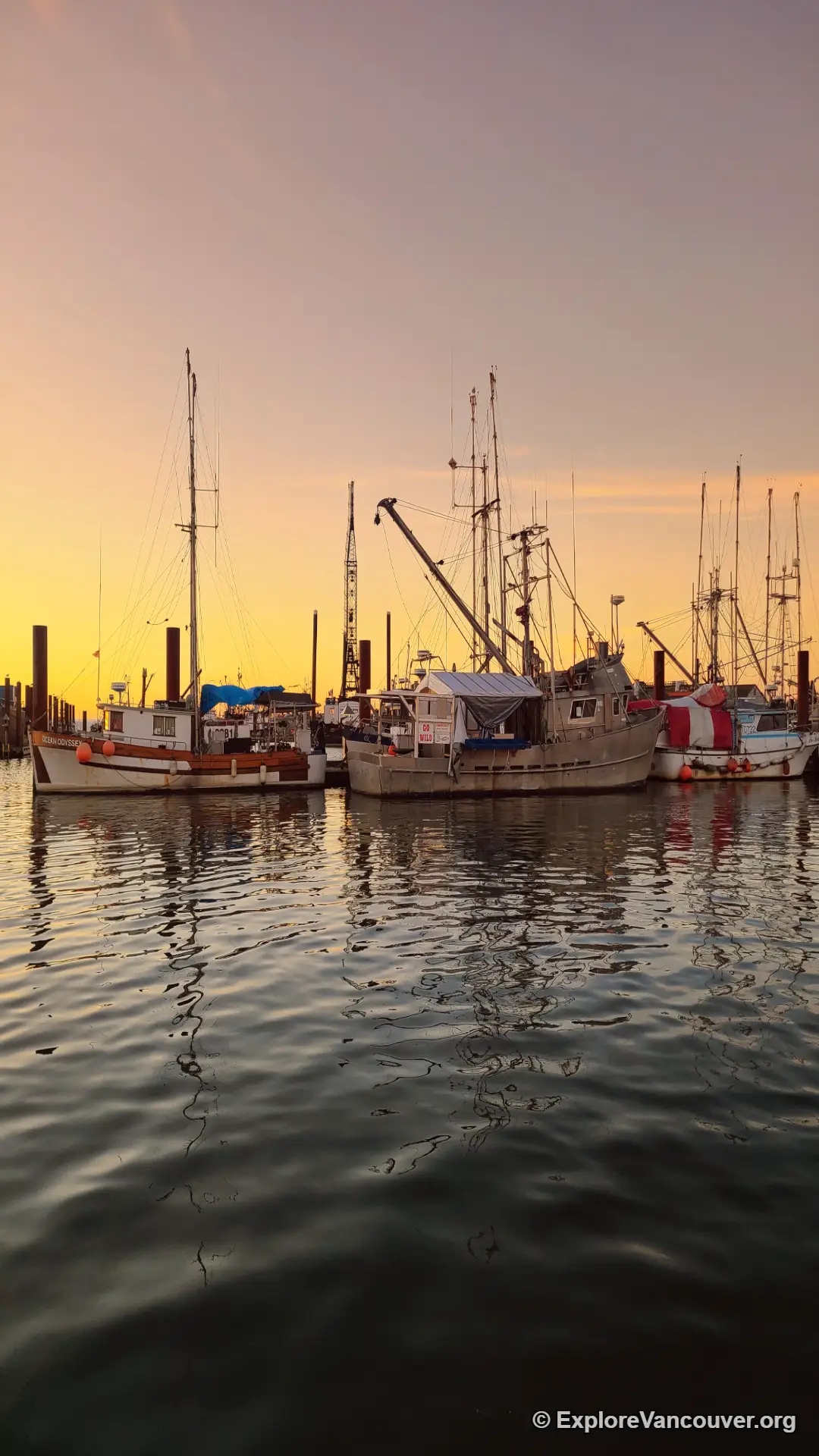 Golden hour light at Steveston Fisherman's Wharf