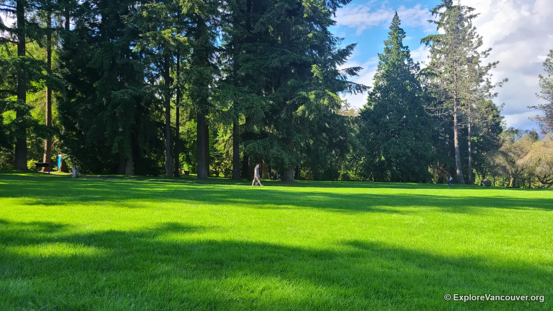 Open lawn and garden beds at VanDusen Botanical Garden