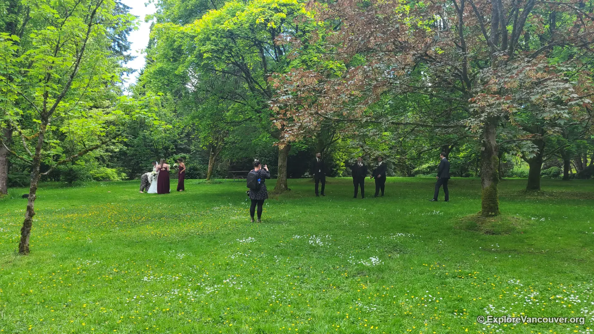 Visitors taking photos in VanDusen Botanical Garden