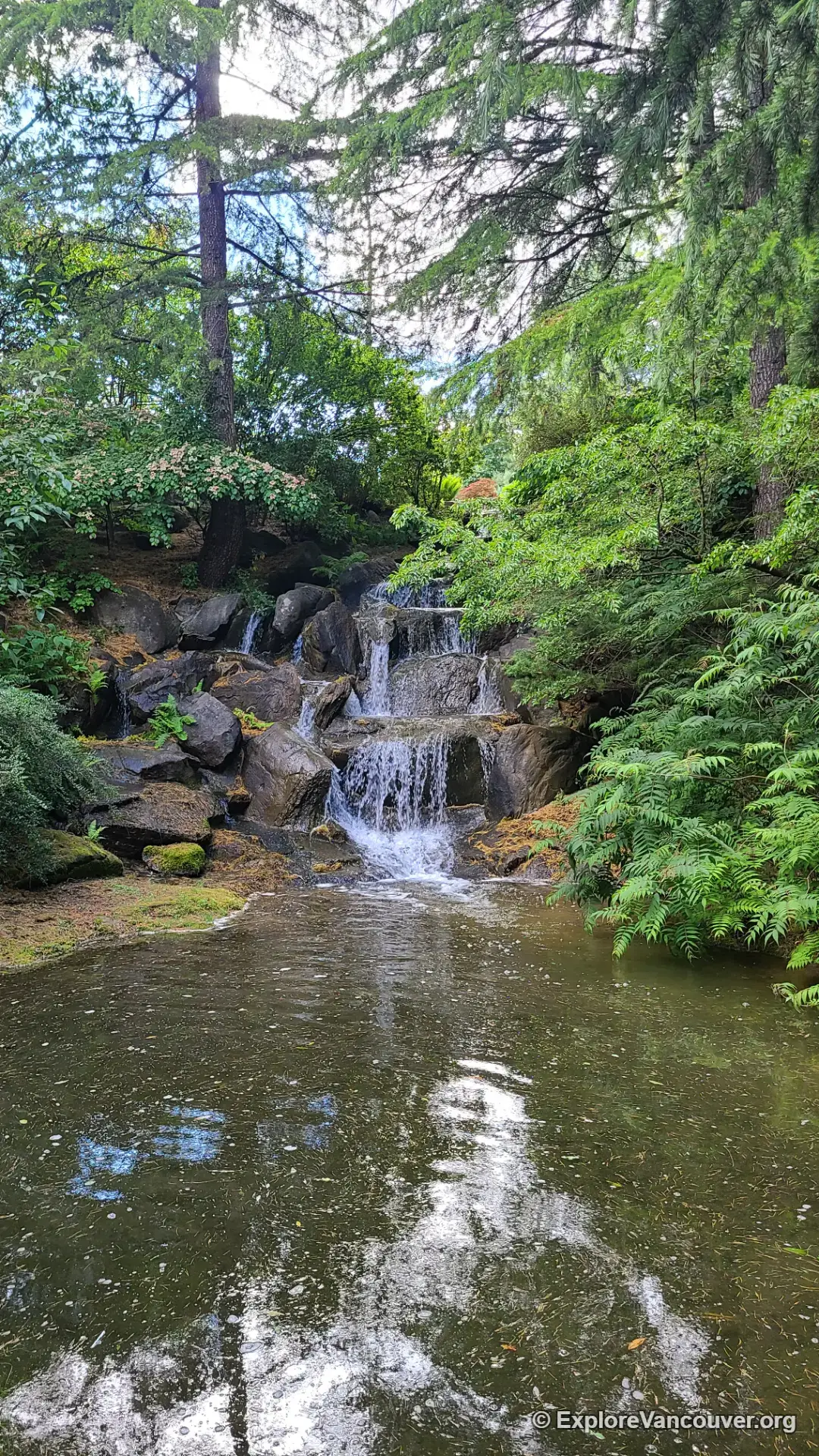 Waterfall feature within VanDusen Botanical Garden