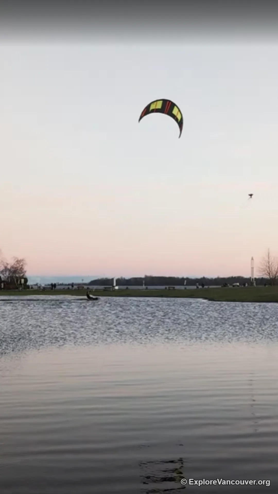 Kites flying over the open grass fields of Garry Point Park on a windy day