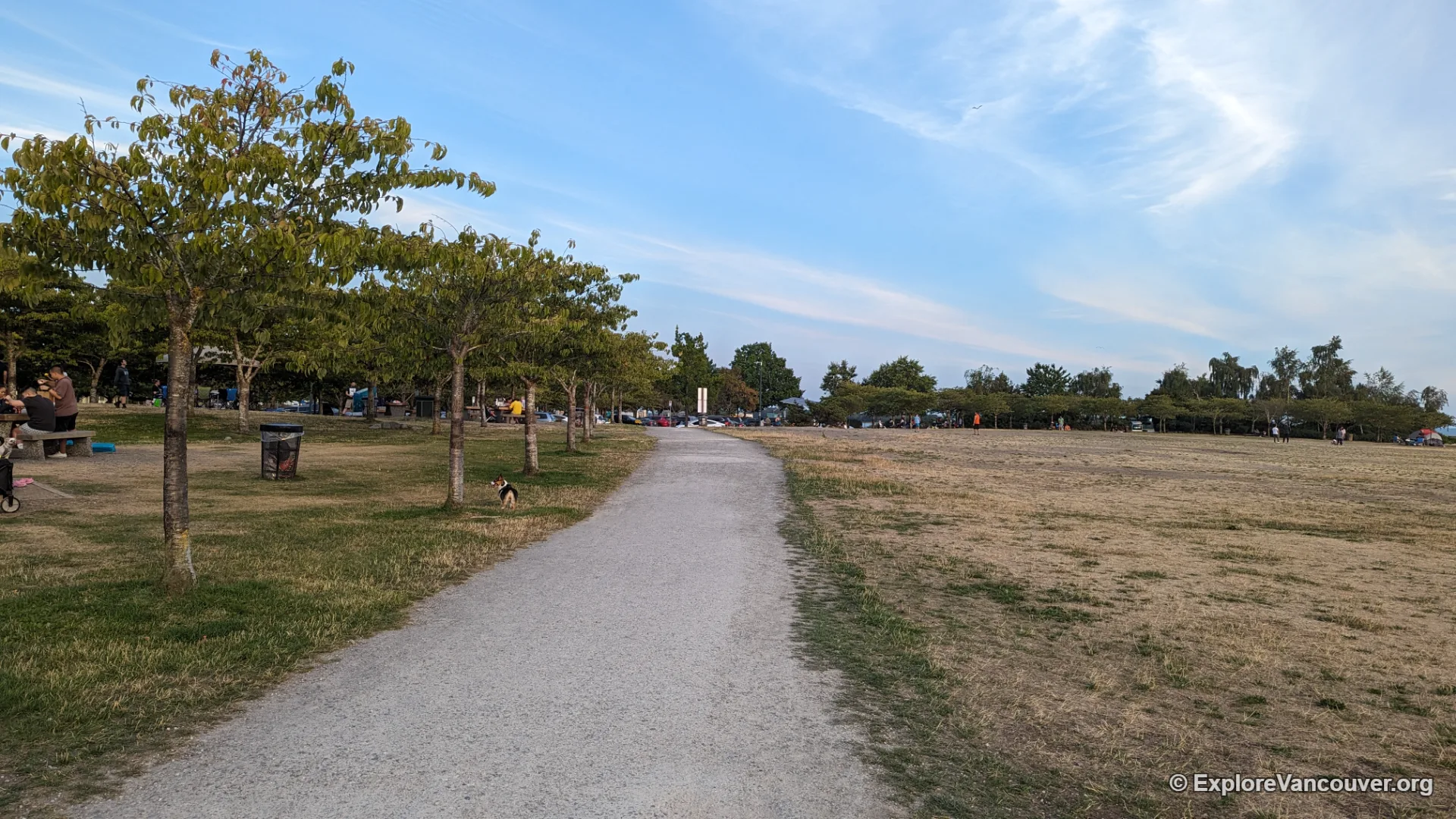 Wide grassy shoreline of Garry Point Park in Richmond under a bright blue sky