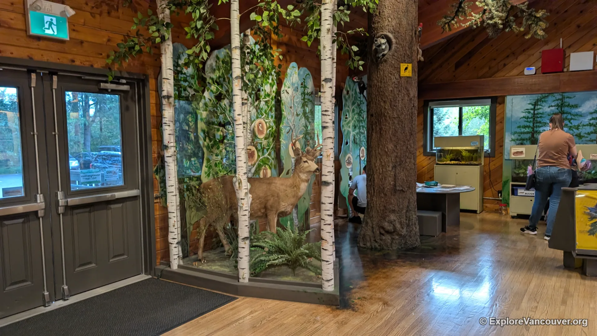 Interior exhibits inside the Richmond Nature House