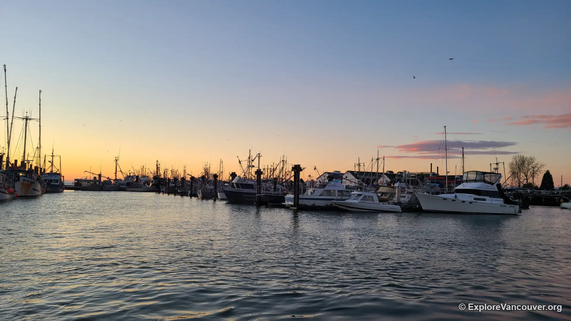 Fishing boats docked in Steveston Harbour