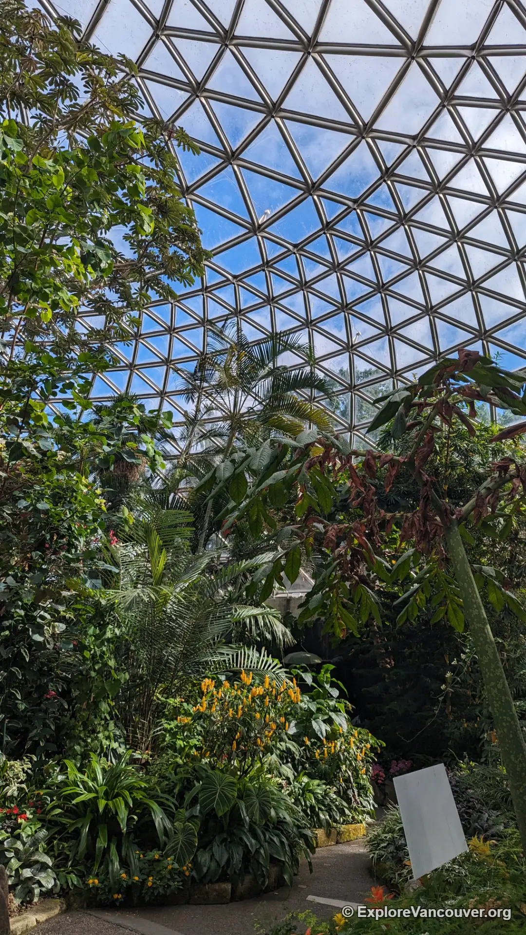Vertical view looking up through the layered plants toward the dome ceiling