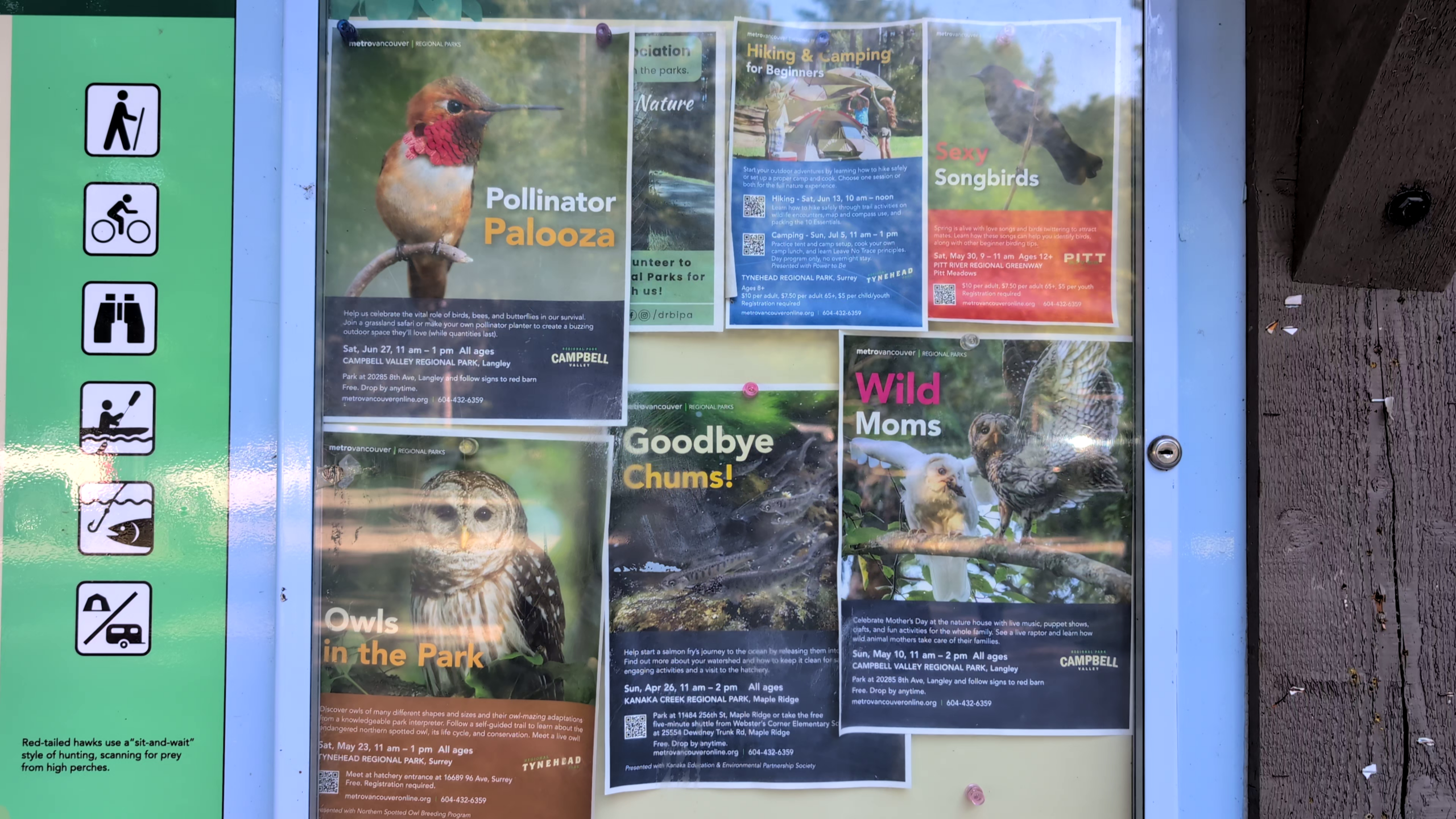 Bird sighting display board at Brae Island Regional Park