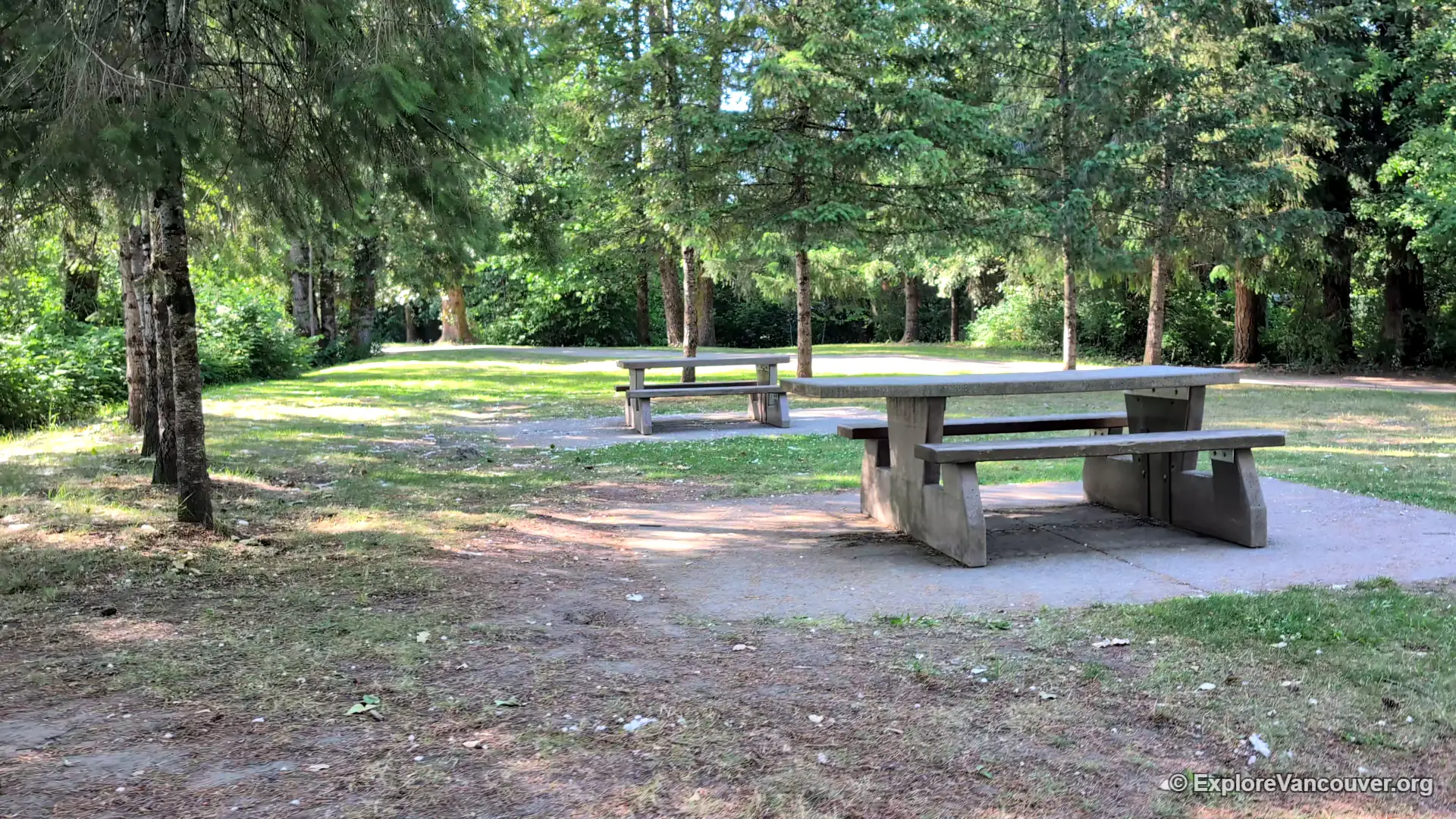 Picnic benches at Brae Island Regional Park