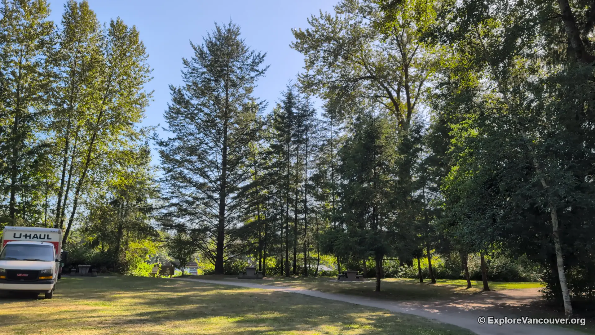 Riverside forest area at Brae Island Regional Park