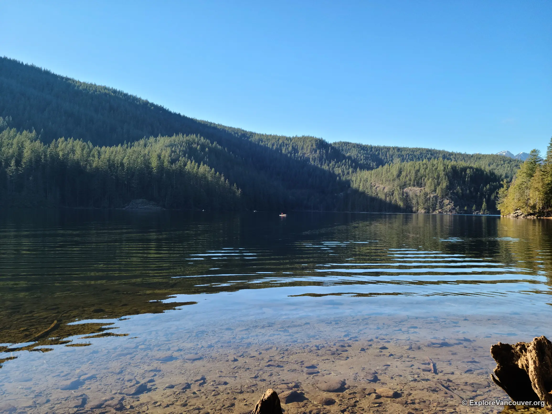 Buntzen Lake reservoir surrounded by forest